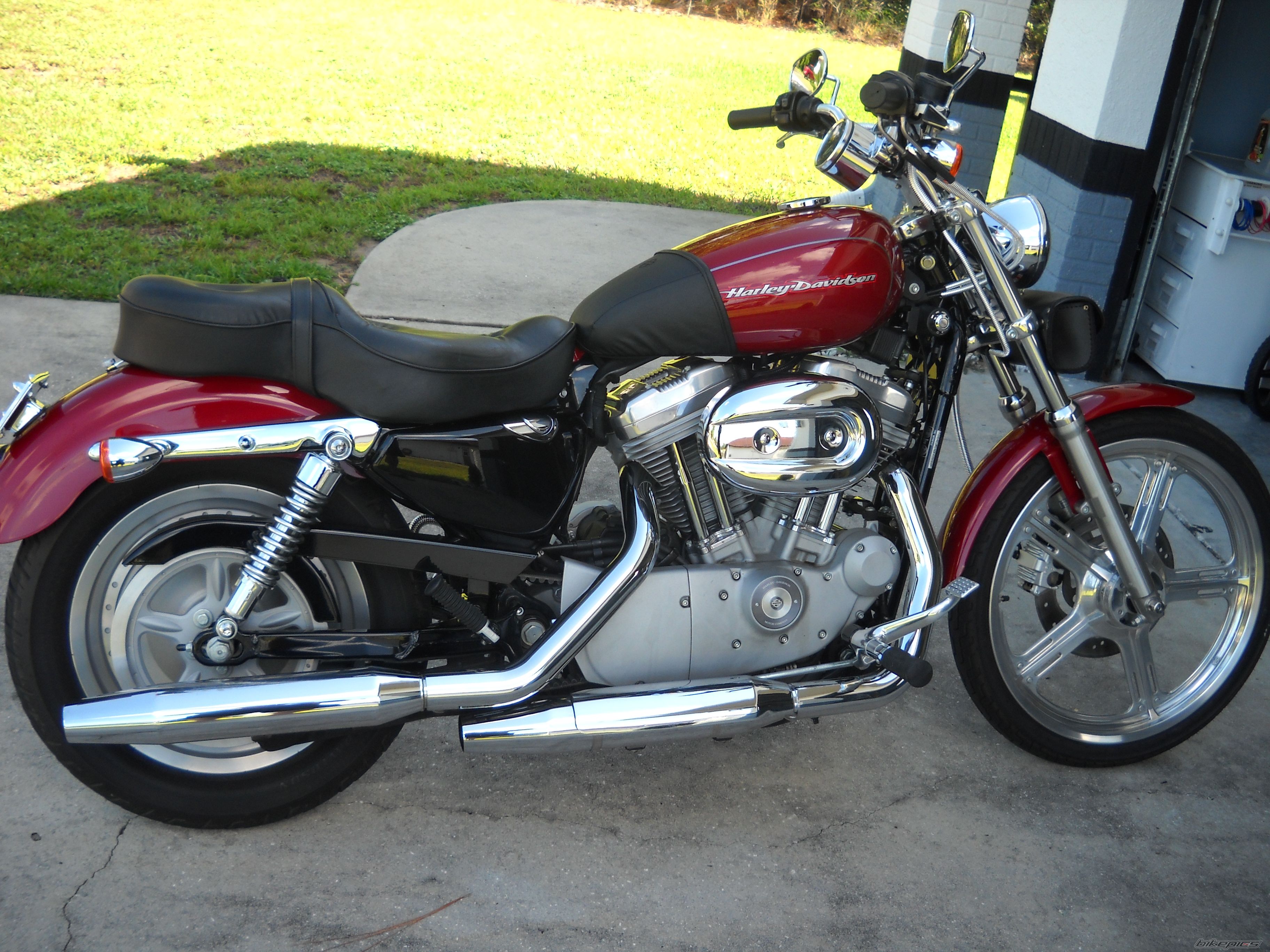 2006 HARLEY DAVIDSON XL 883 CUSTOM | Picture 2217997 motorcycle photo