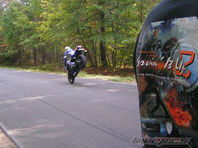2003 YAMAHA YZF R6 | Picture 221816 motorcycle photo