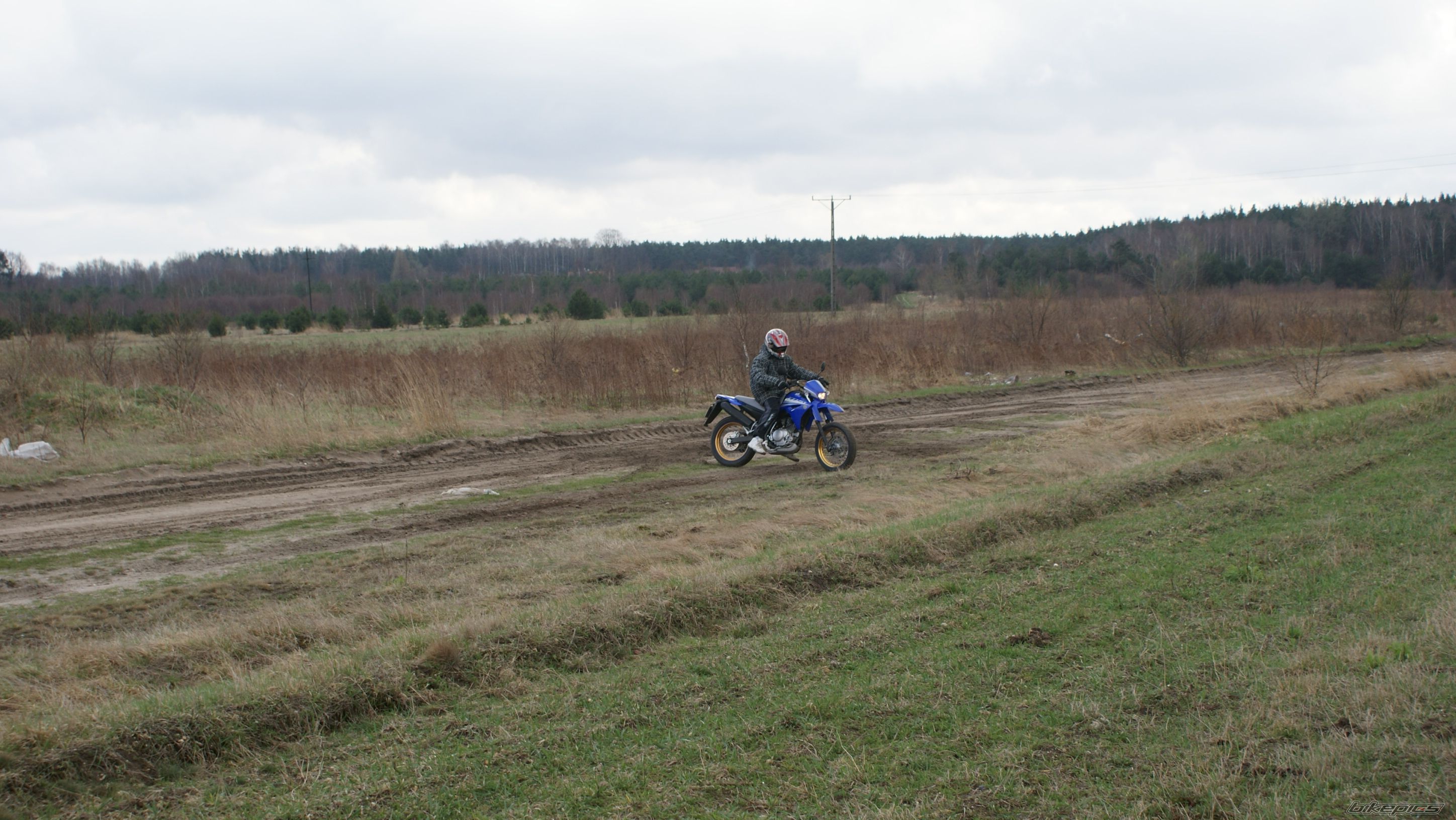 2009 YAMAHA XT 125 | Picture 2218385 motorcycle photo