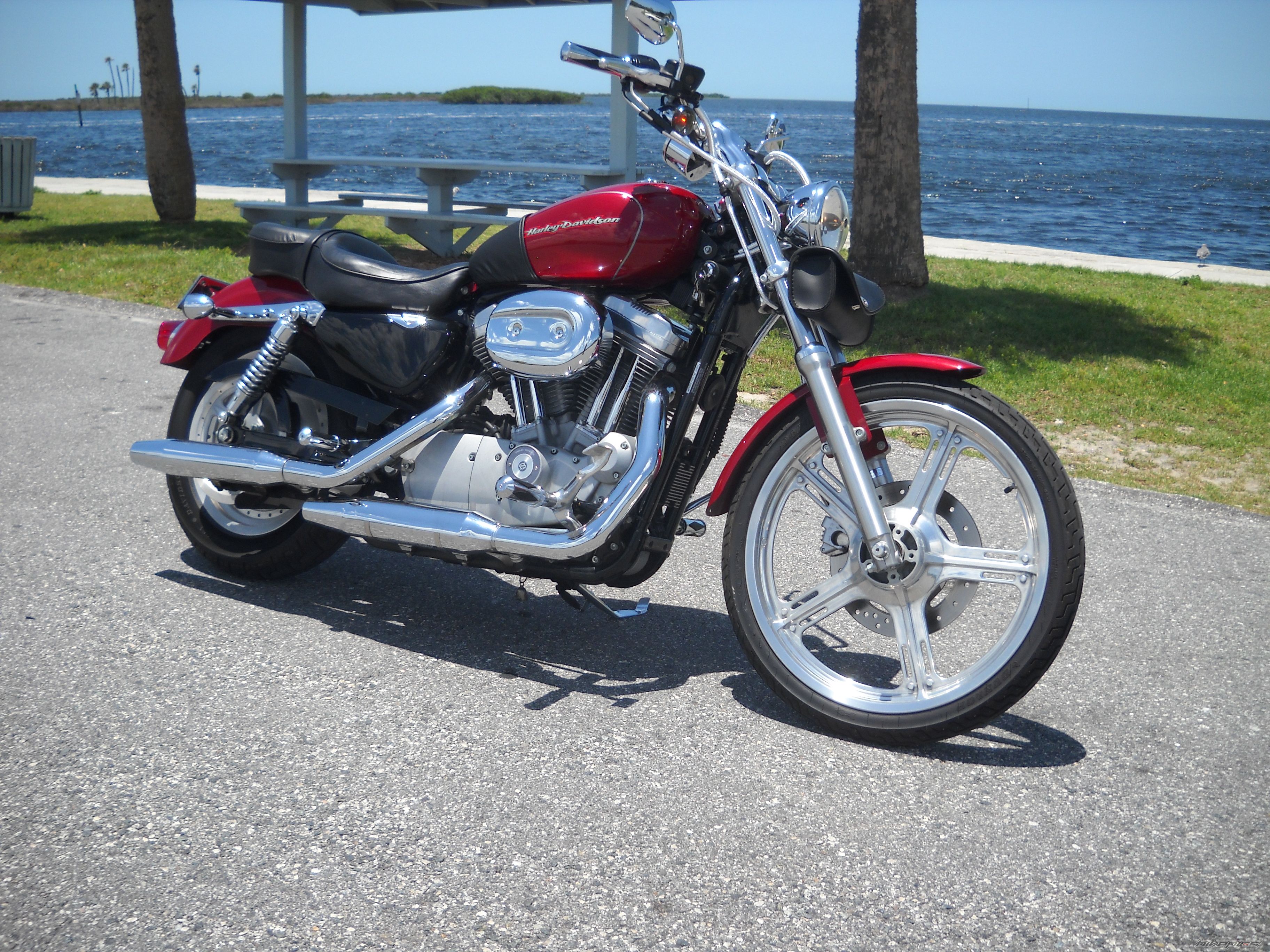 2006 HARLEY DAVIDSON XL 883 CUSTOM | Picture 2218606 motorcycle photo