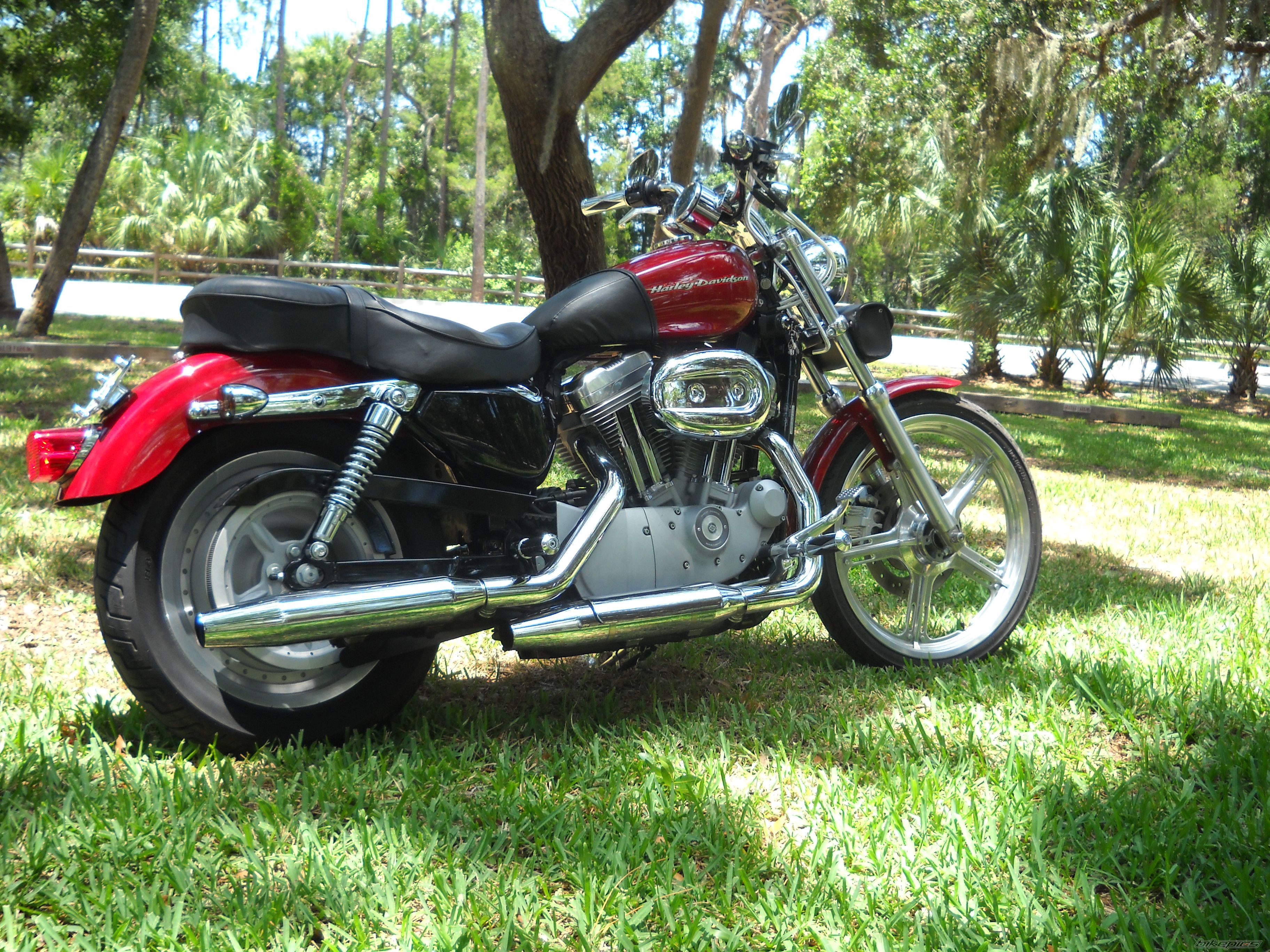 2006 HARLEY DAVIDSON XL 883 CUSTOM | Picture 2218608 motorcycle photo