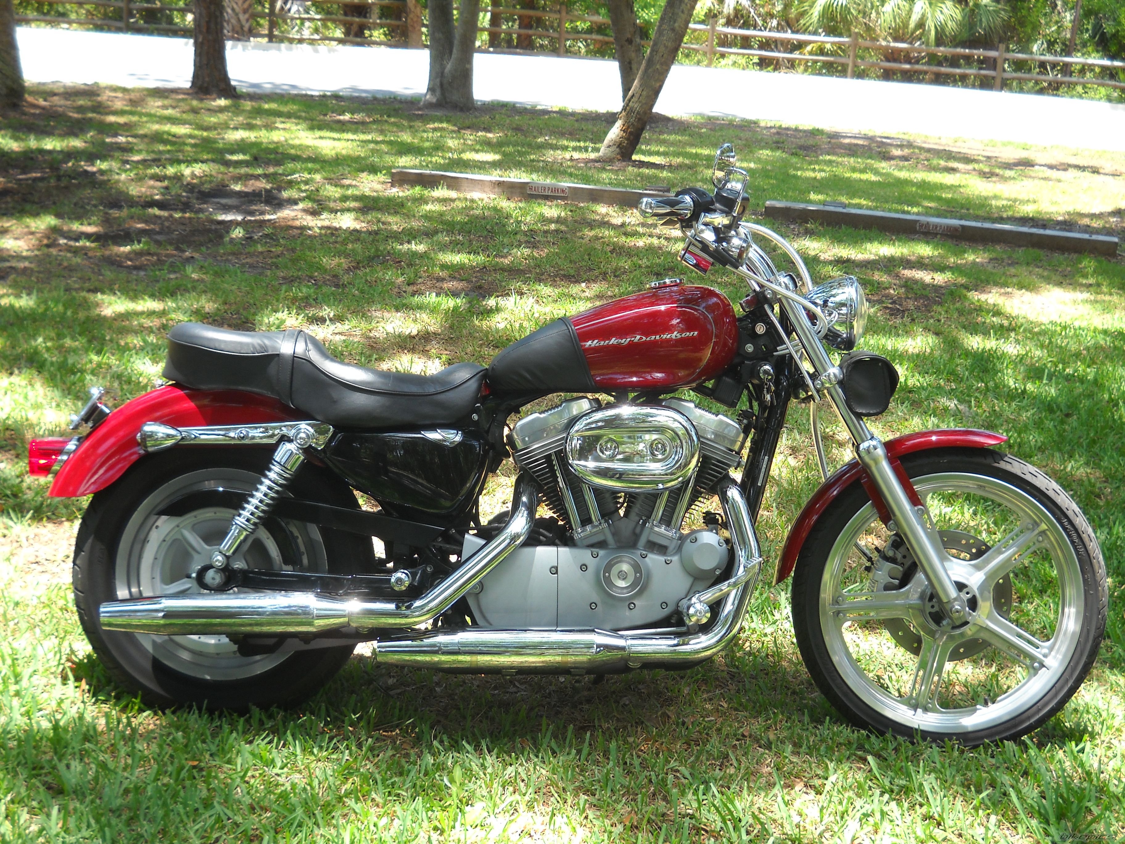 2006 HARLEY DAVIDSON XL 883 CUSTOM | Picture 2218609 motorcycle photo
