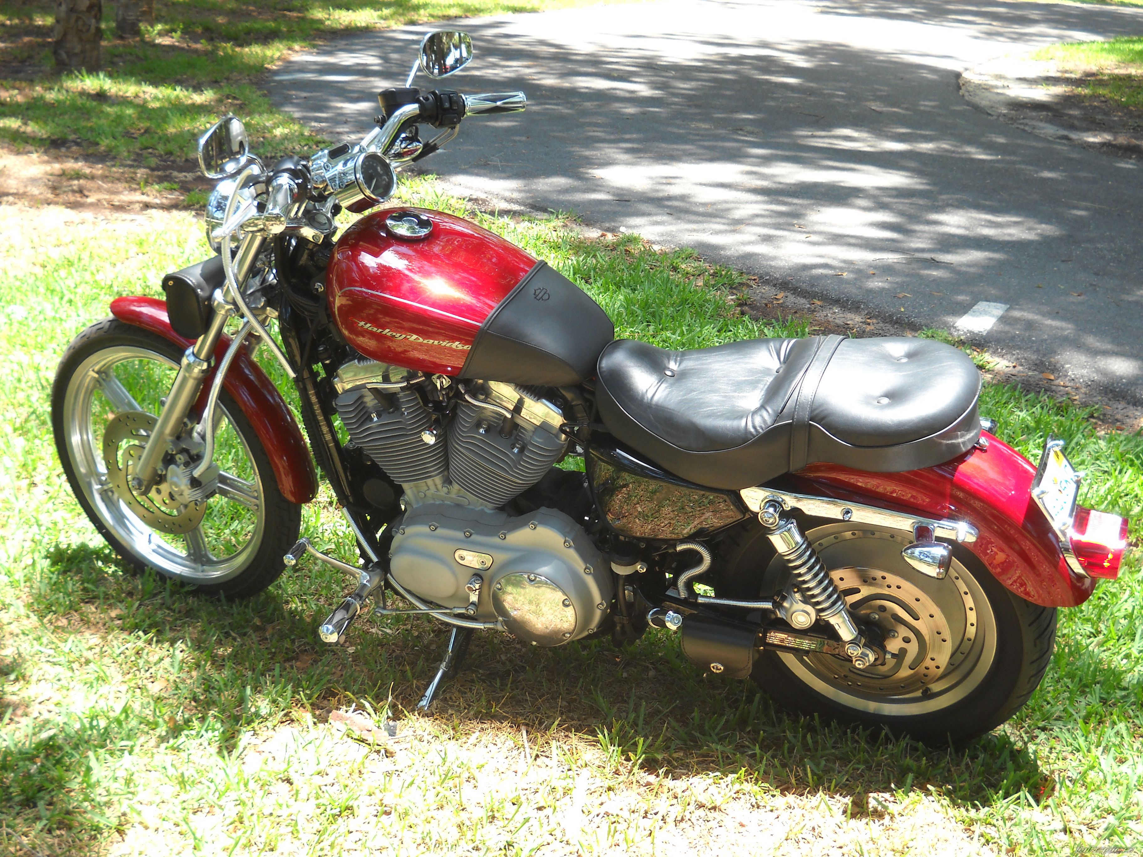 2006 HARLEY DAVIDSON XL 883 CUSTOM | Picture 2218613 motorcycle photo