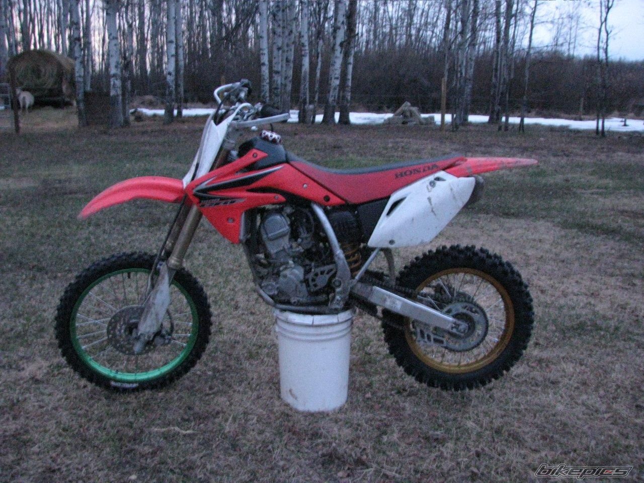 2008 HONDA CRF 150 | Picture 2218769 motorcycle photo