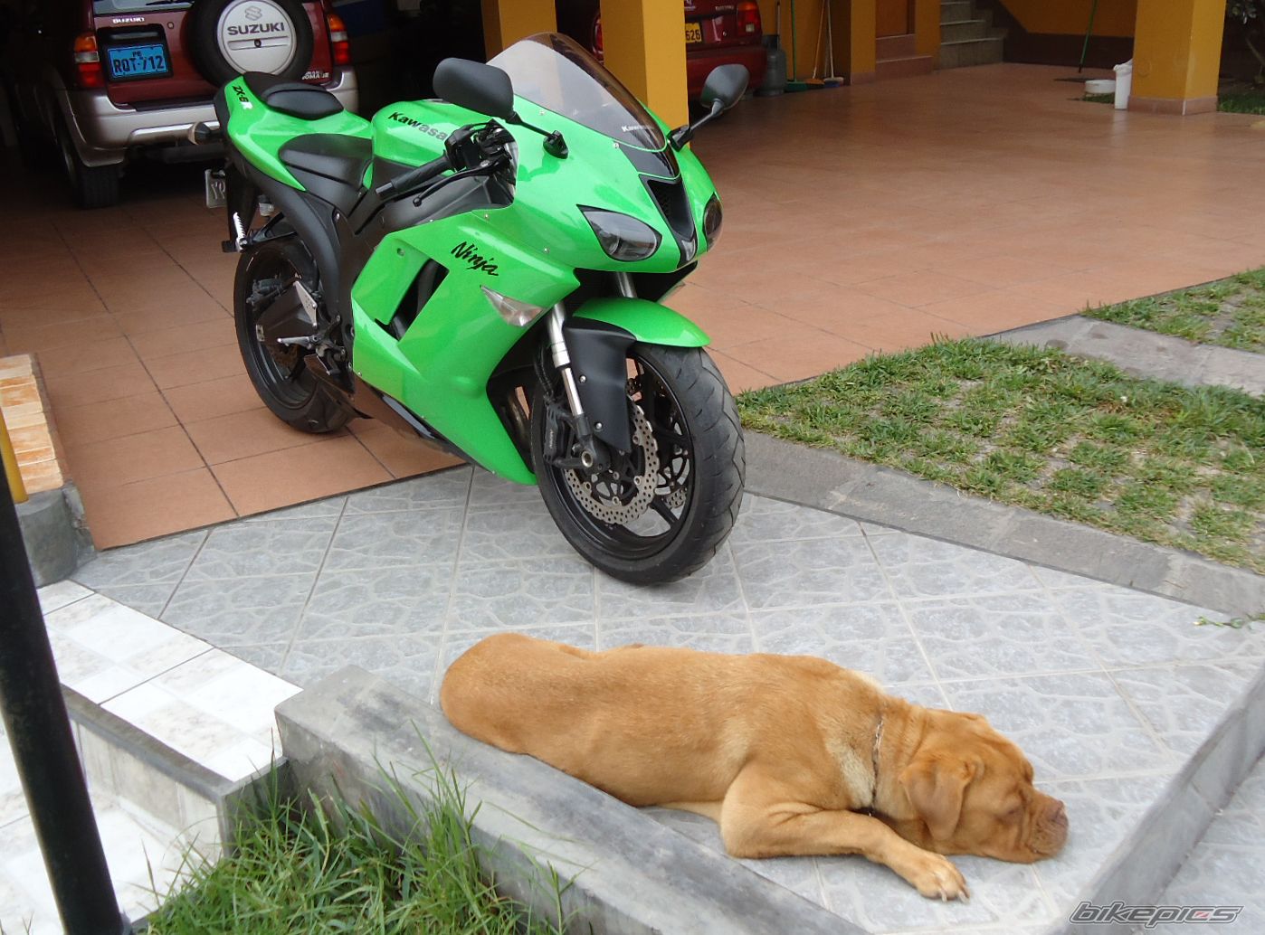 2007 KAWASAKI ZX 6R | Picture 2219877 motorcycle photo