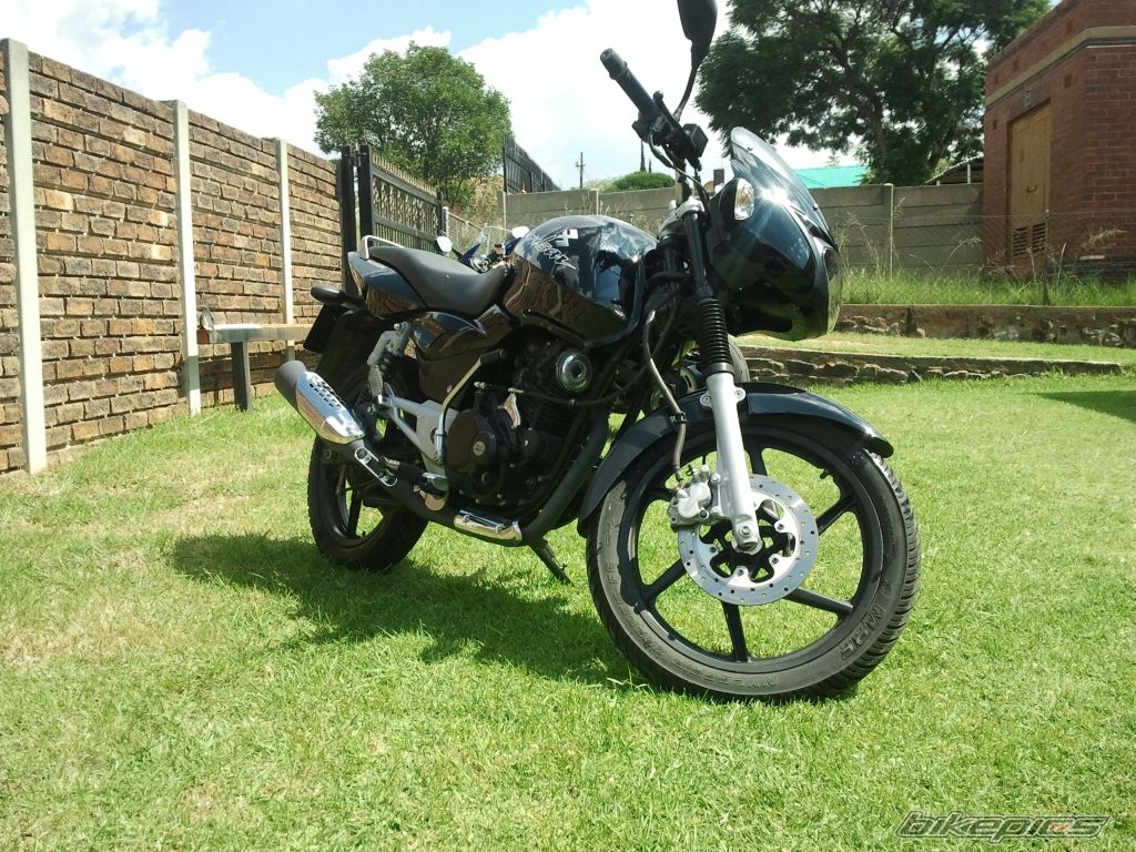 2008 BAJAJ PULSAR 180 | Picture 2220467 motorcycle photo