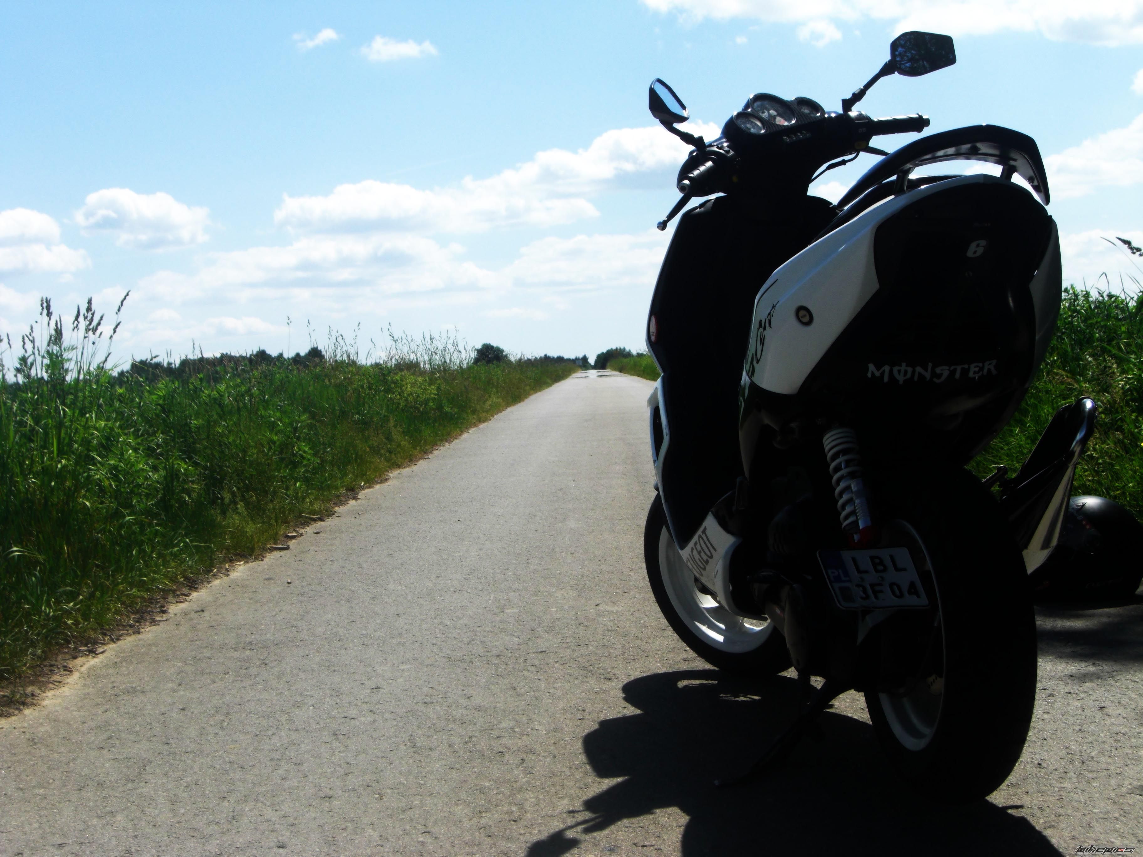 2008 PEUGEOT SPEEDFIGHT2 50 | Picture 2220540 motorcycle photo