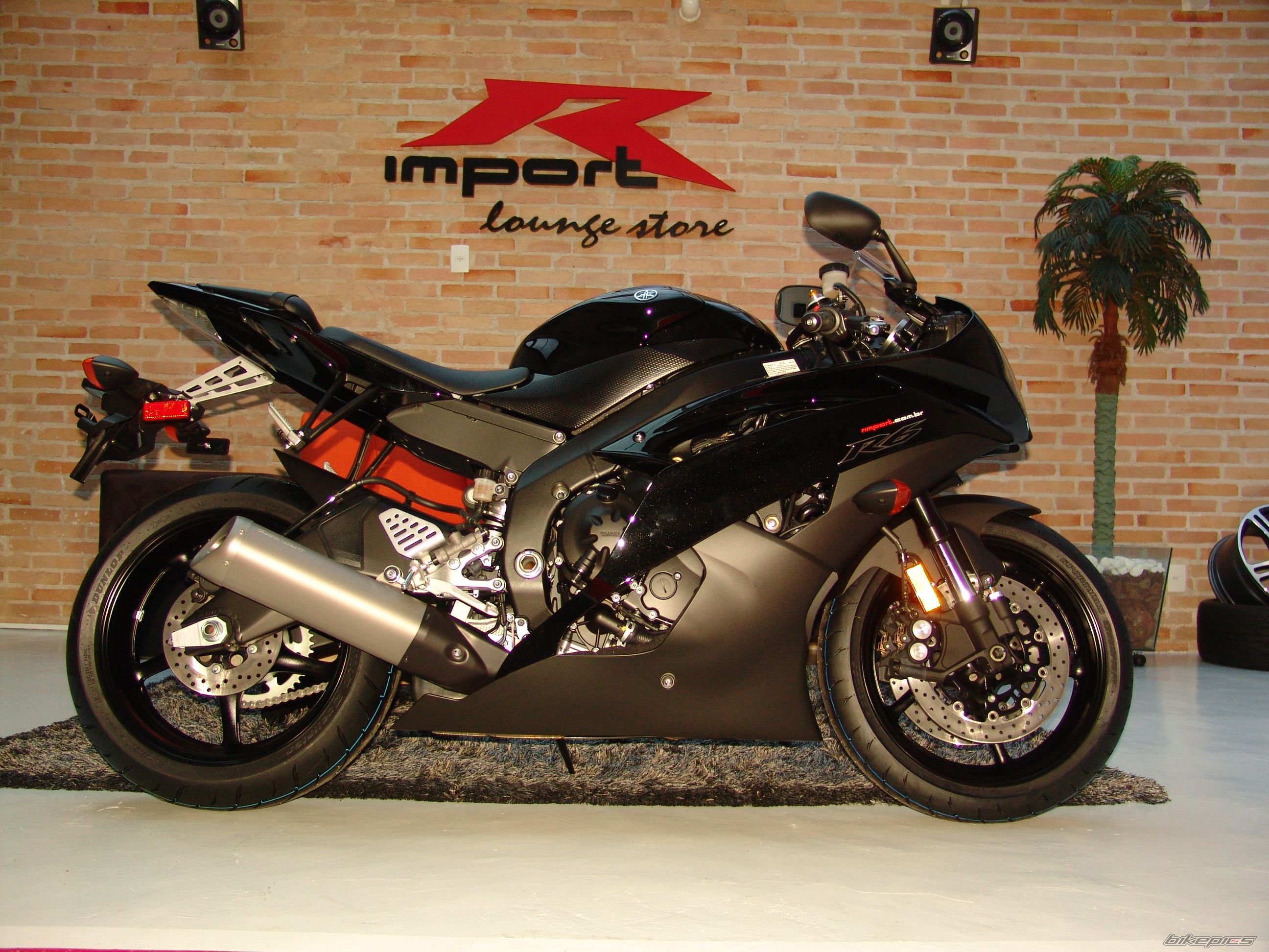 2011 YAMAHA YZF R6 | Picture 2221116 motorcycle photo