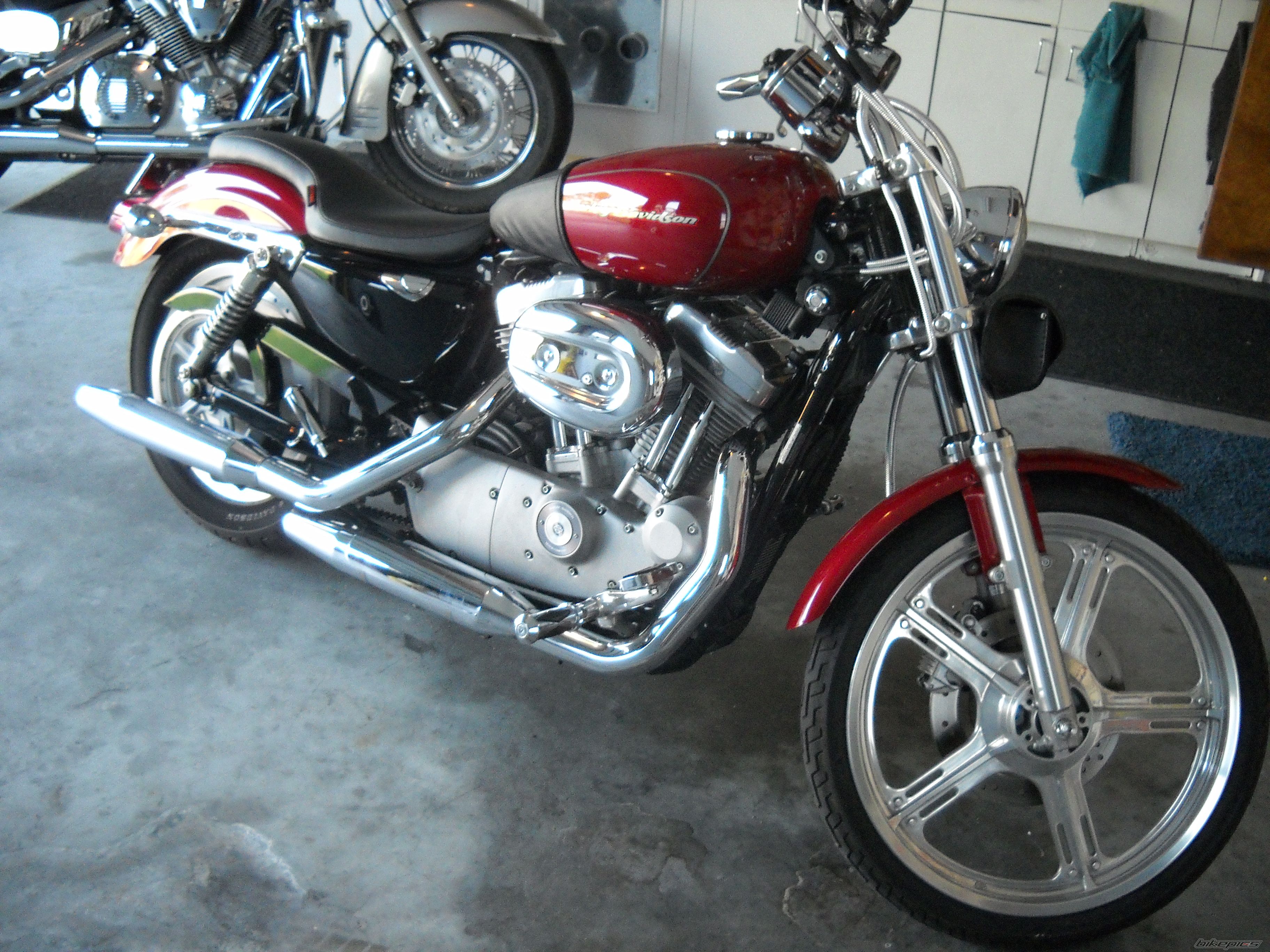 2006 HARLEY DAVIDSON XL 883 CUSTOM | Picture 2222204 motorcycle photo