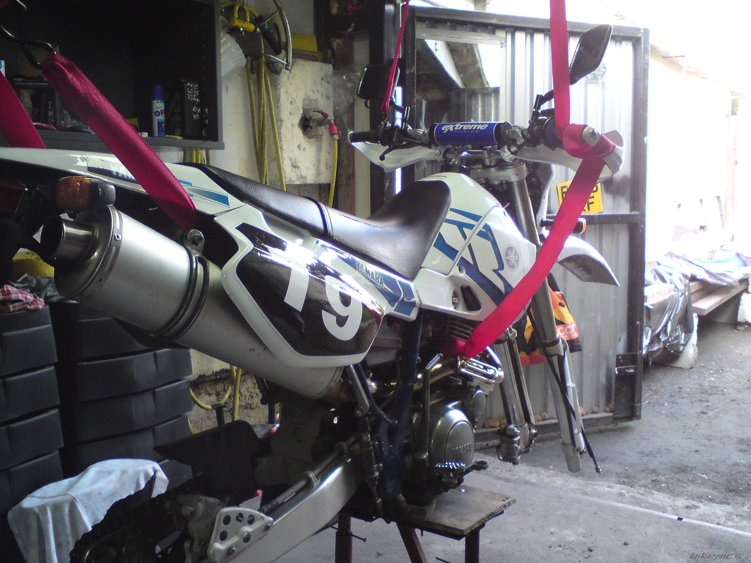 1995 YAMAHA TTR 600 | Picture 2222355 motorcycle photo