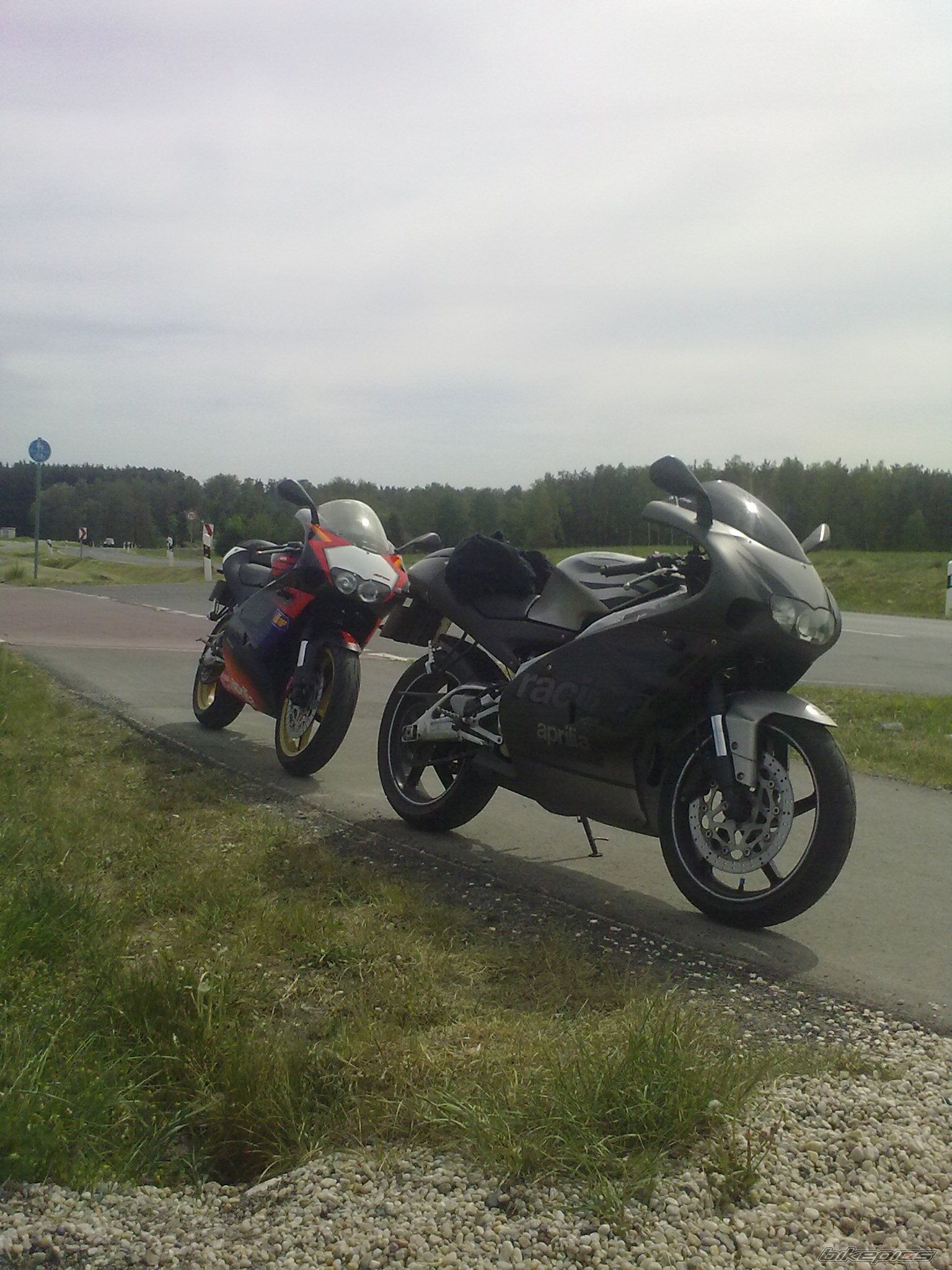 2003 APRILIA RS 125 | Picture 2222678 motorcycle photo