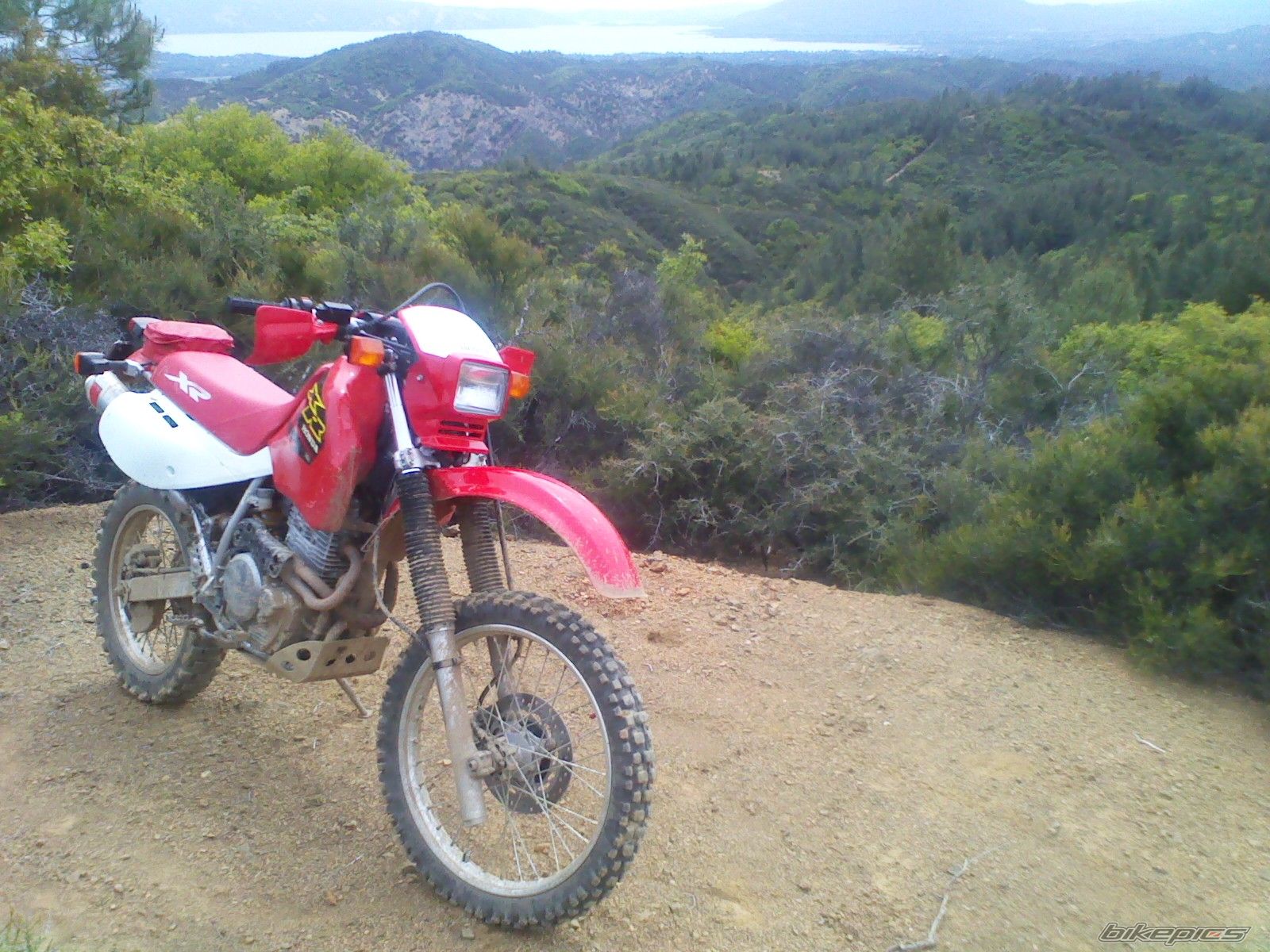 2001 HONDA XR 650 | Picture 2222832 motorcycle photo