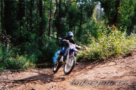 2001 YAMAHA YZ 125 | Picture 222310 motorcycle photo