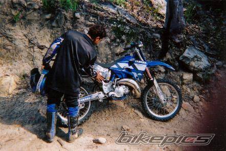 2001 YAMAHA YZ 125 | Picture 222313 motorcycle photo