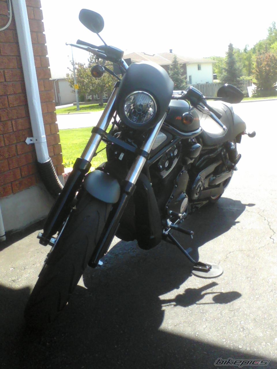 2011 HARLEY DAVIDSON VRSCDX NIGHTROD SPECIAL | Picture 2223339 motorcycle photo