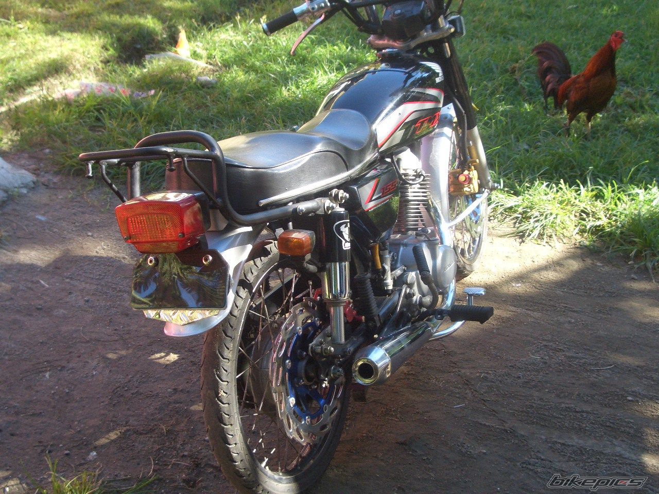 2011 HONDA TMX 155 | Picture 2223542 motorcycle photo