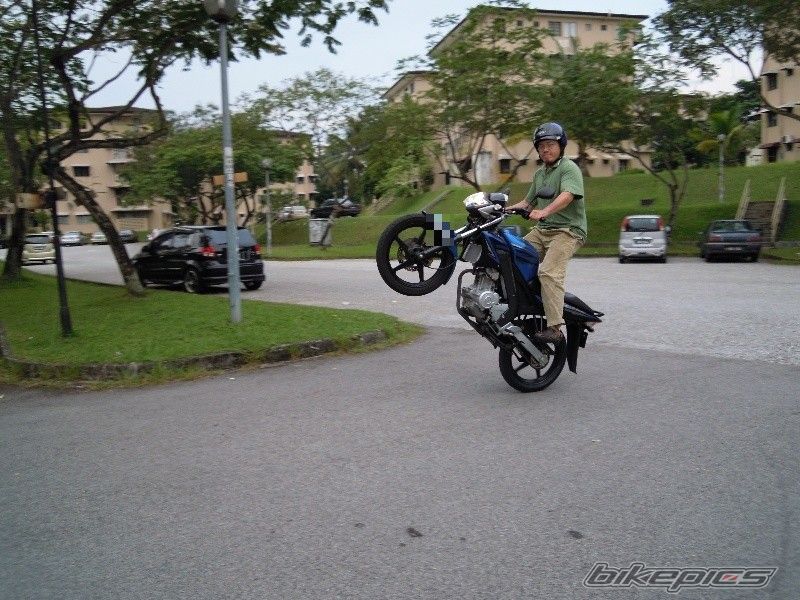2010 YAMAHA FZ 150 | Picture 2223654 motorcycle photo