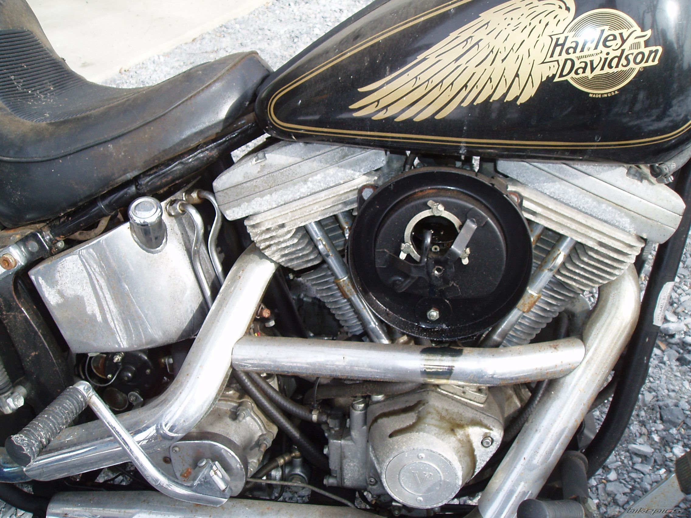 1985 HARLEY DAVIDSON FXST | Picture 2223796 motorcycle photo