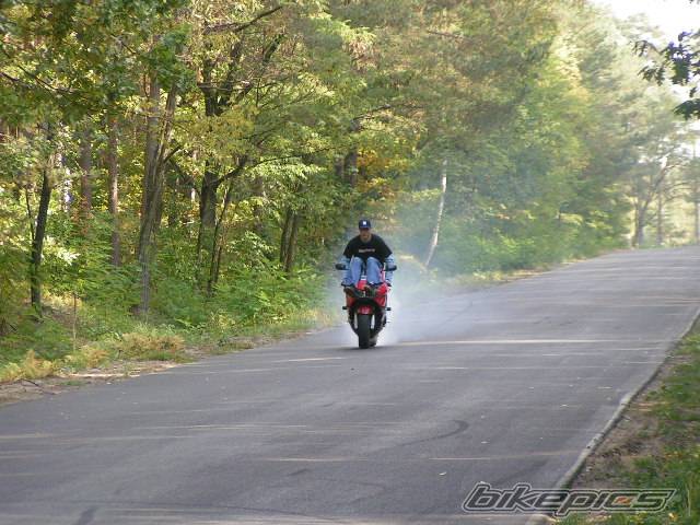 1998 HONDA CBR 900 | Picture 222451 motorcycle photo