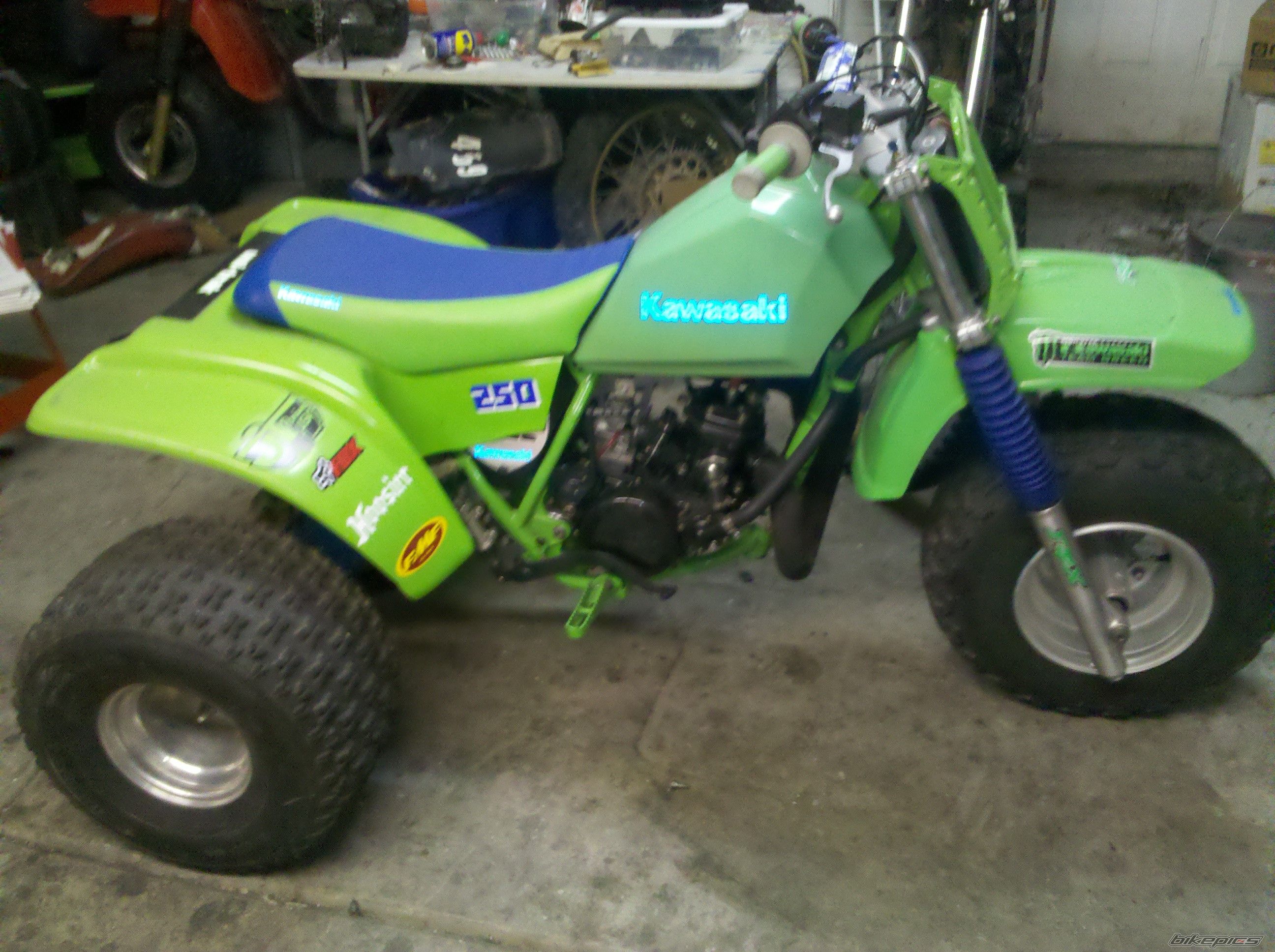 1985 KAWASAKI TECATE 3 | Picture 2225115 motorcycle photo