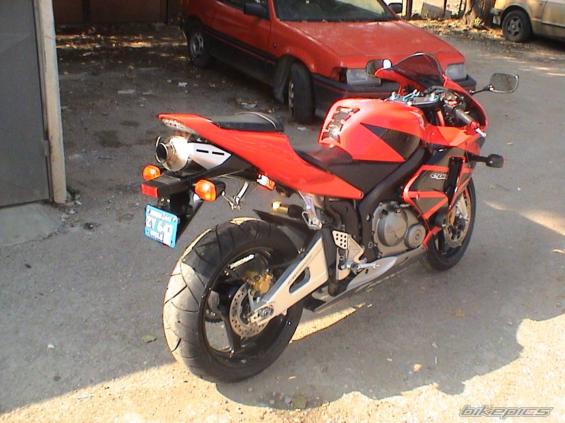 2003 HONDA CBR 600 | Picture 222527 motorcycle photo