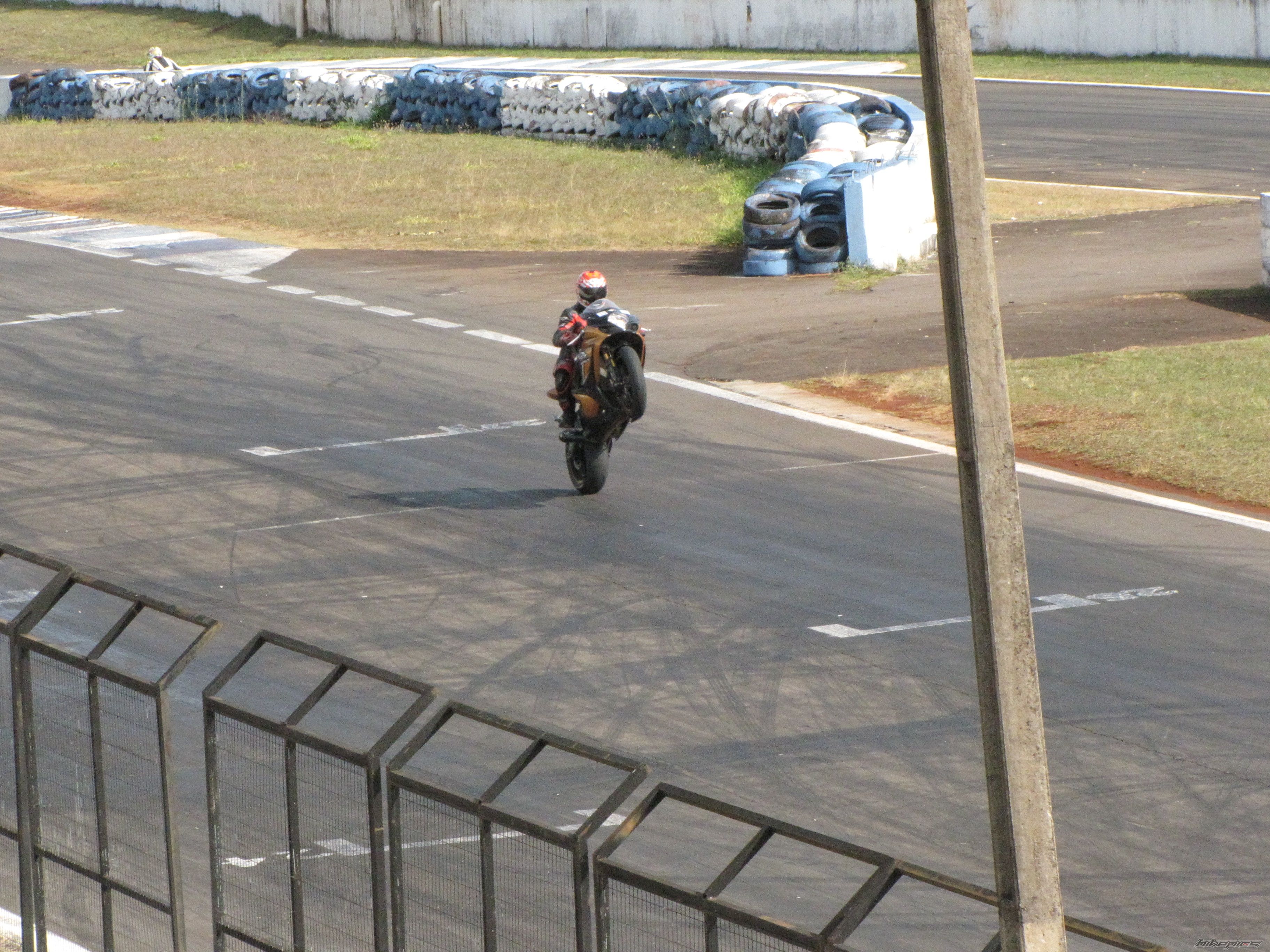 2008 SUZUKI GSX R 1000 | Picture 2225378 motorcycle photo