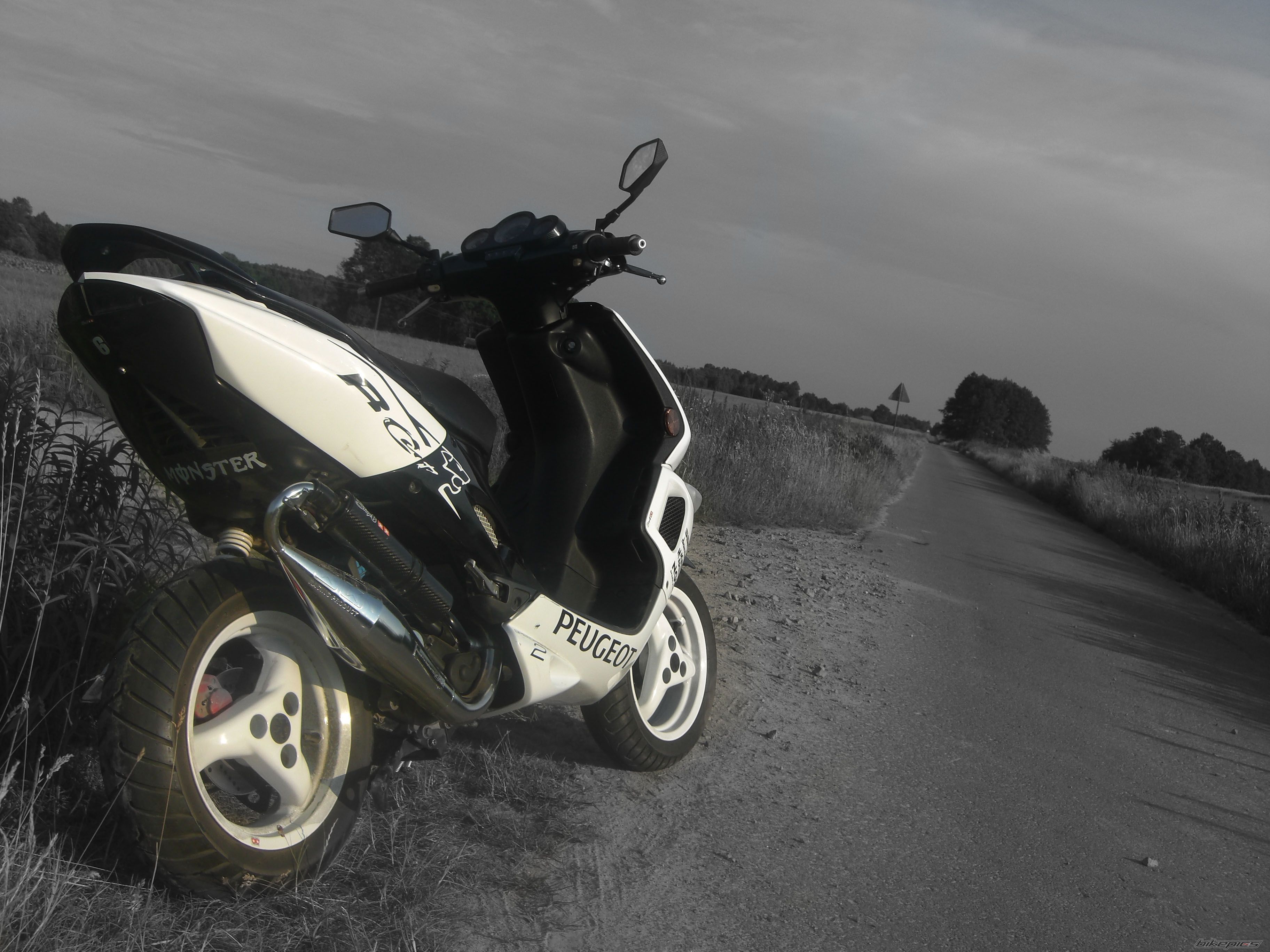 2008 PEUGEOT SPEEDFIGHT2 50 | Picture 2225695 motorcycle photo