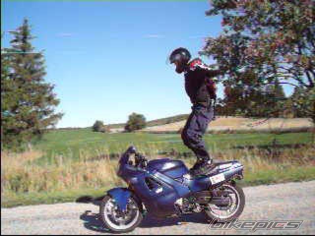 1987 HONDA CBR 600 | Picture 222655 motorcycle photo