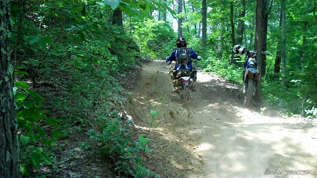 2010 HUSABERG FE 450 E | Picture 2226722 motorcycle photo
