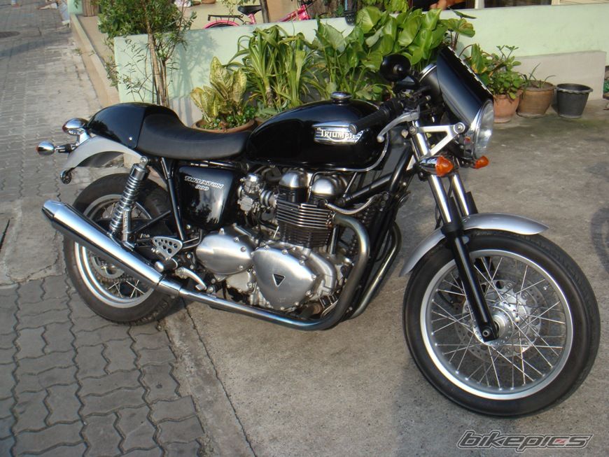2006 TRIUMPH THRUXTON 900 | Picture 2227015 motorcycle photo