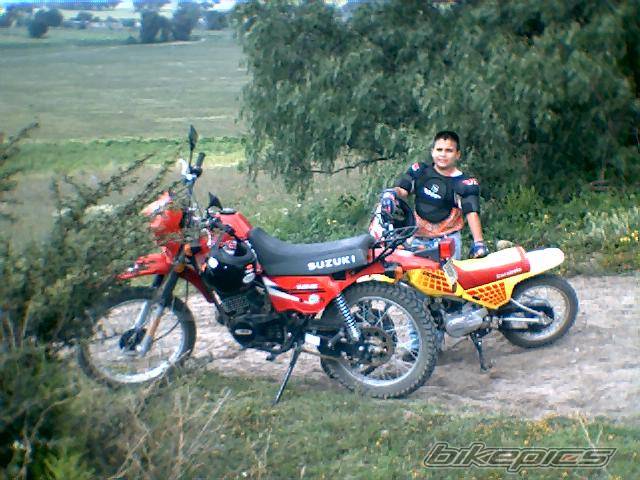 2001 SUZUKI TS 185 | Picture 222744 motorcycle photo