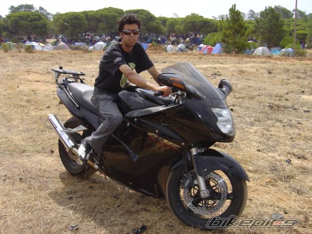 1998 HONDA CBR 1100 BLACKBIRD | Picture 222784 motorcycle photo