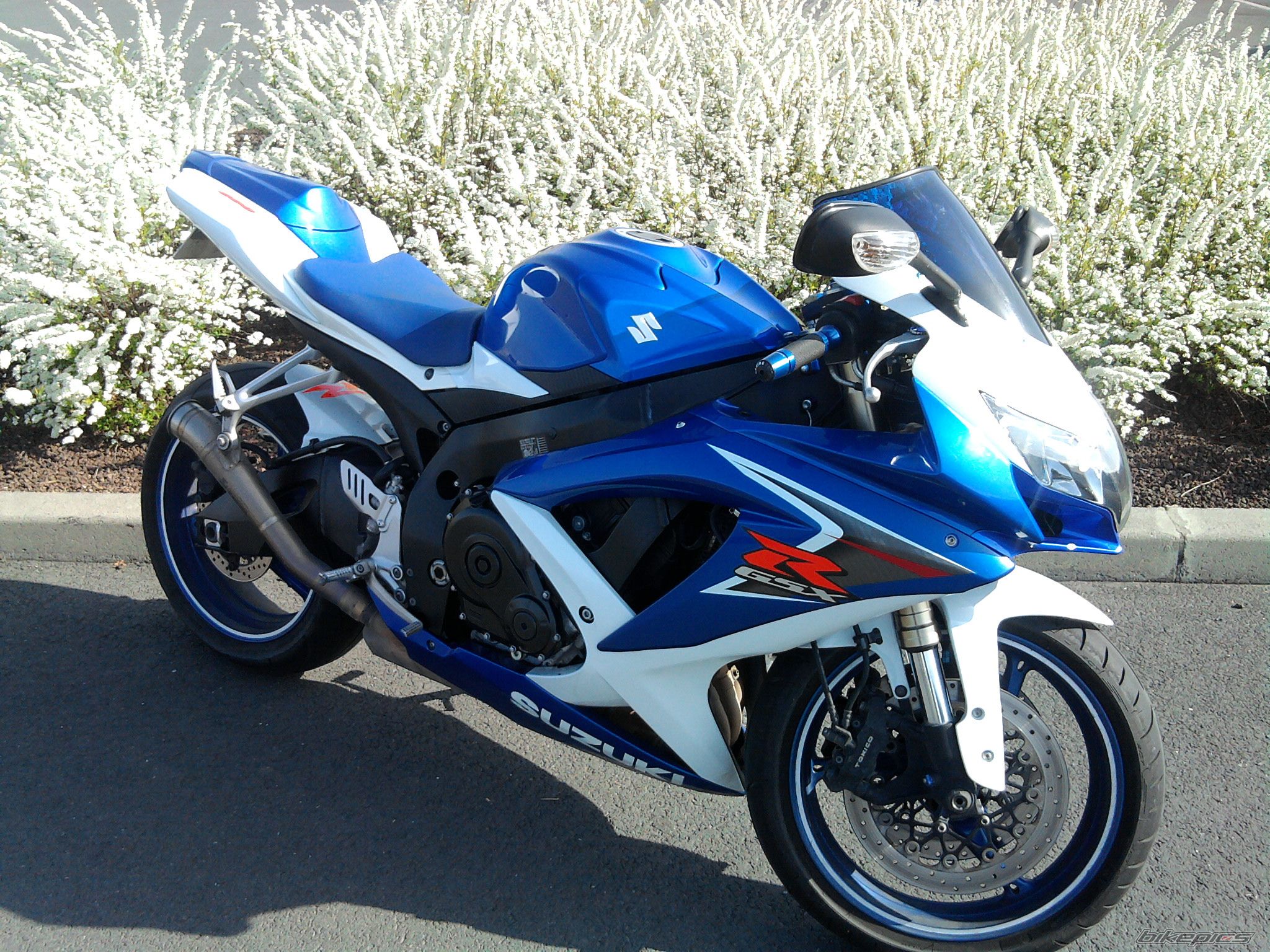 2008 SUZUKI GSX R 600 | Picture 2228004 motorcycle photo