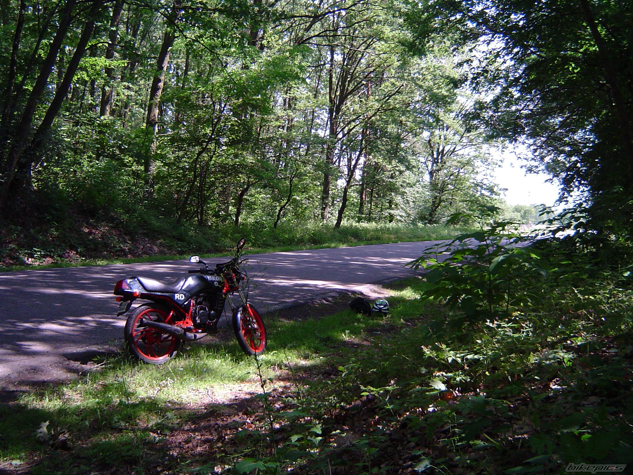 1997 YAMAHA RD 80 | Picture 2228305 motorcycle photo