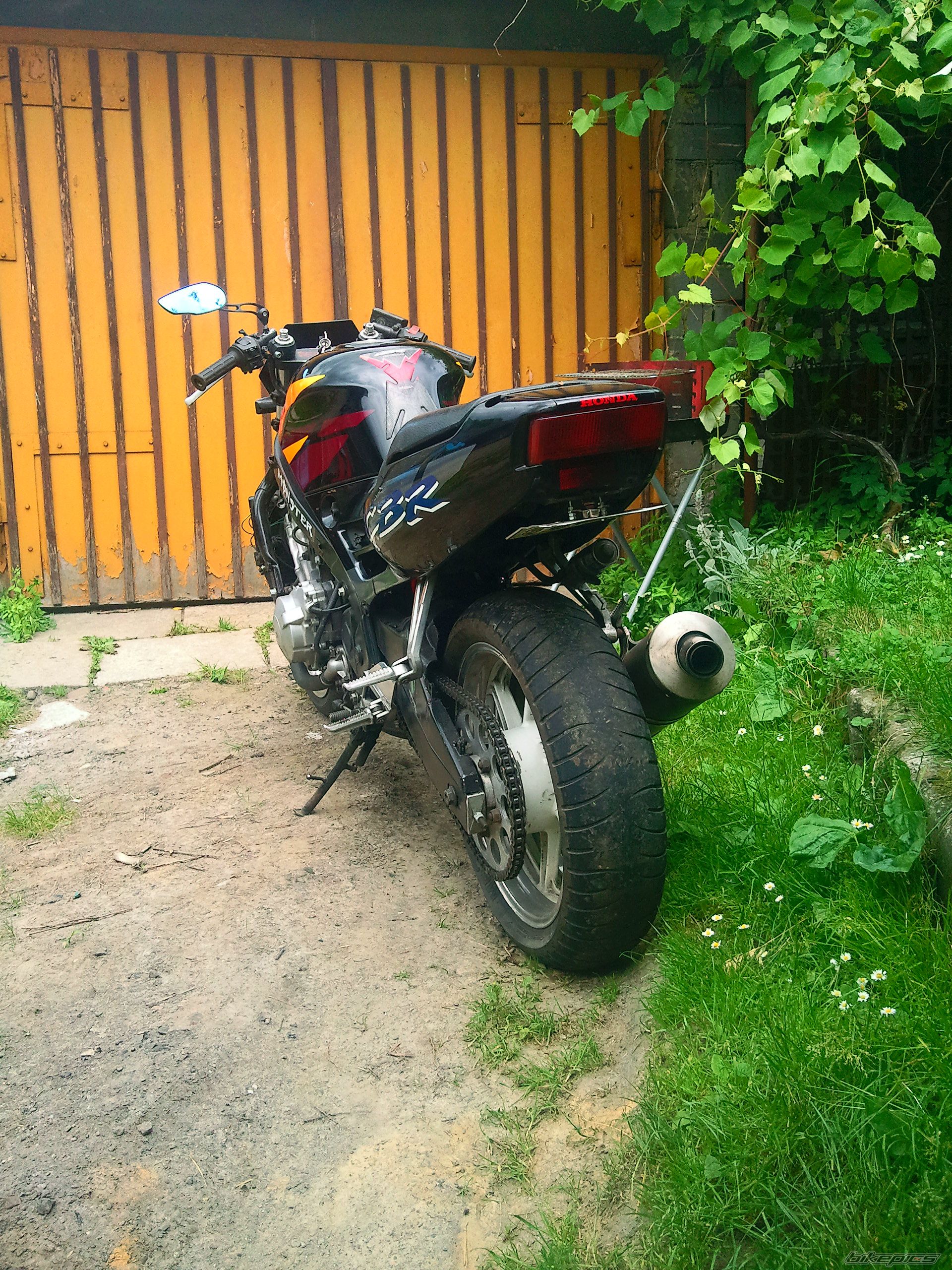 1993 HONDA CBR 600 | Picture 2229080 motorcycle photo