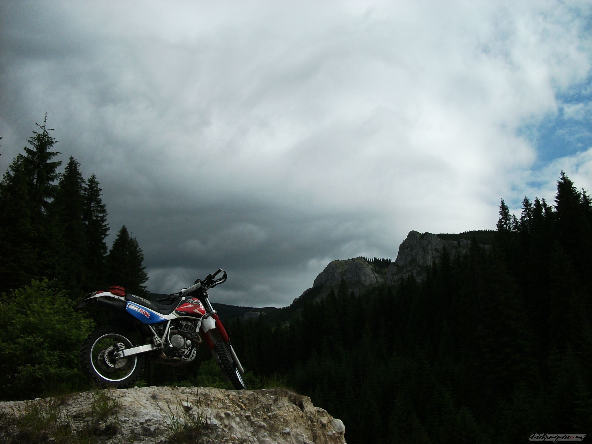 1993 HONDA XR 600 | Picture 2229342 motorcycle photo