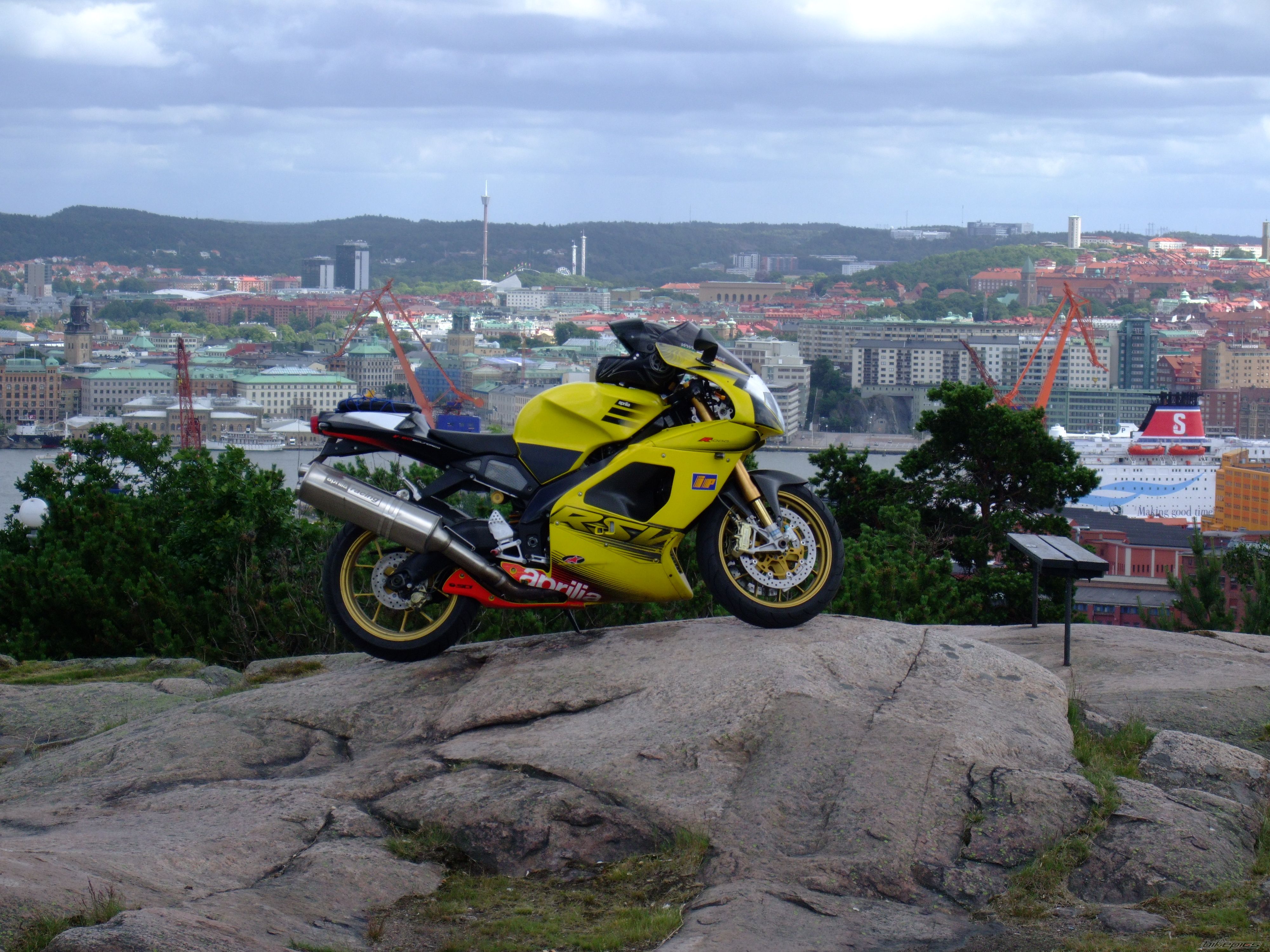 2003 APRILIA RSV 1000R MILLE | Picture 2229728 motorcycle photo