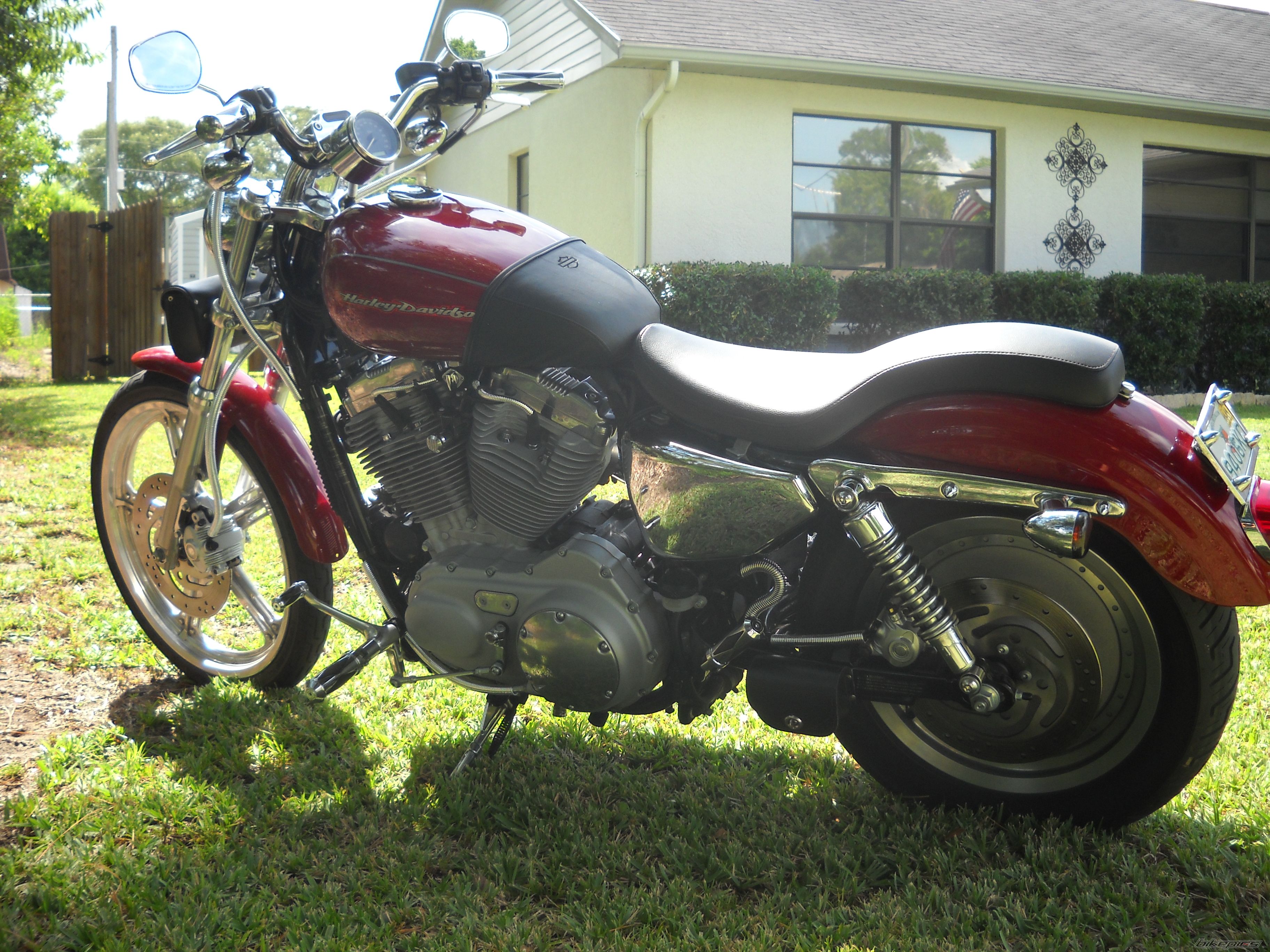 2006 HARLEY DAVIDSON XL 883 CUSTOM | Picture 2229734 motorcycle photo