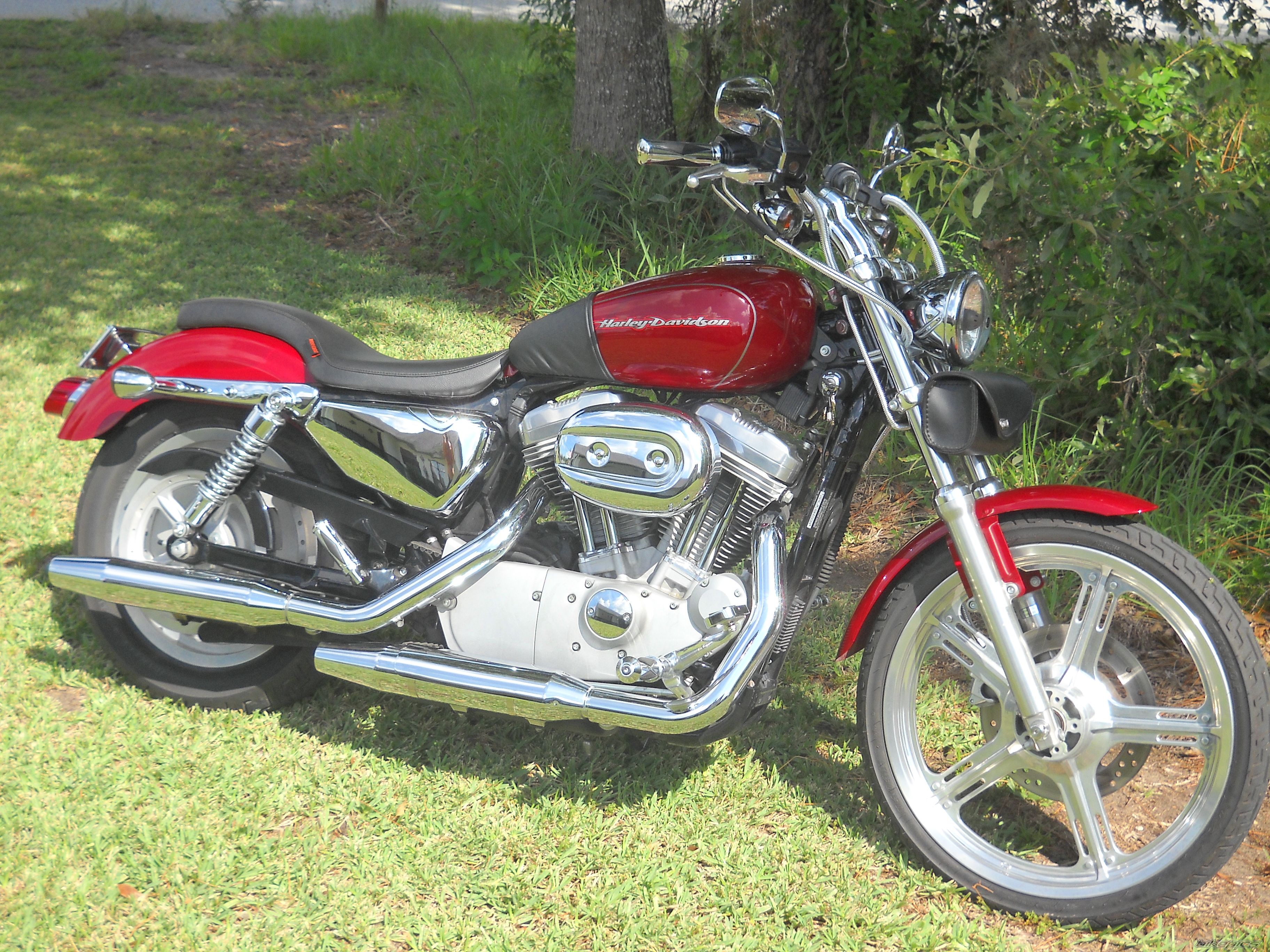 2006 HARLEY DAVIDSON XL 883 CUSTOM | Picture 2229735 motorcycle photo