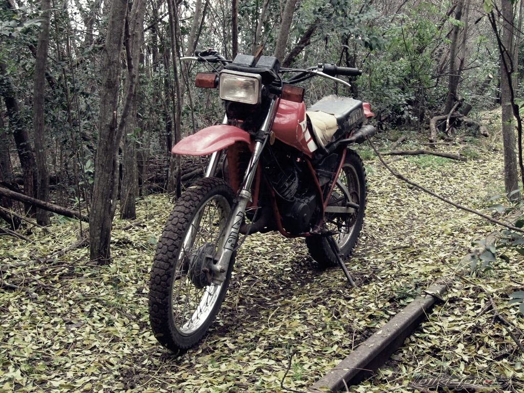 1992 YAMAHA DT 125 | Picture 2229971 motorcycle photo