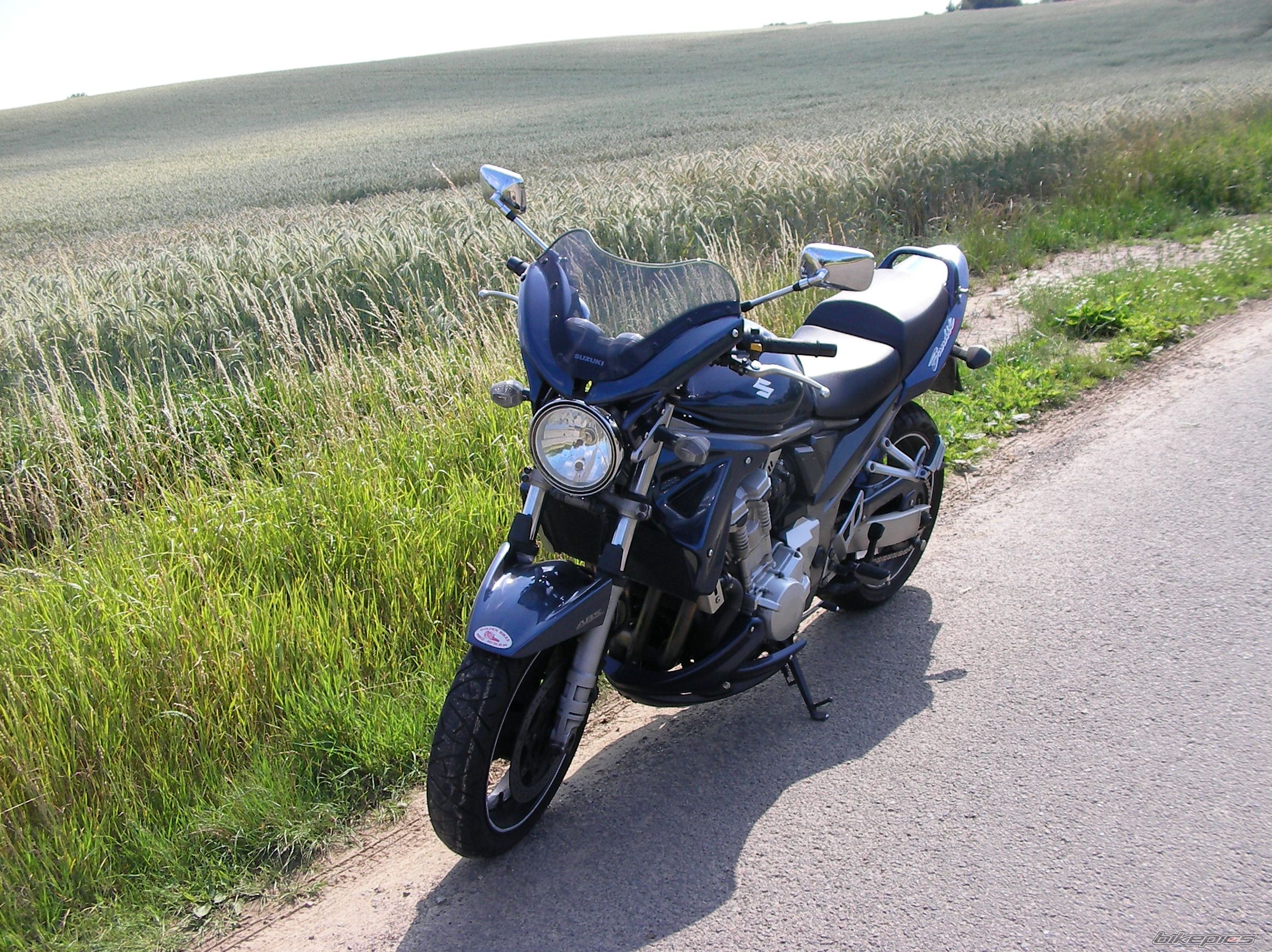 2007 SUZUKI BANDIT 1250 N | Picture 2230912 motorcycle photo