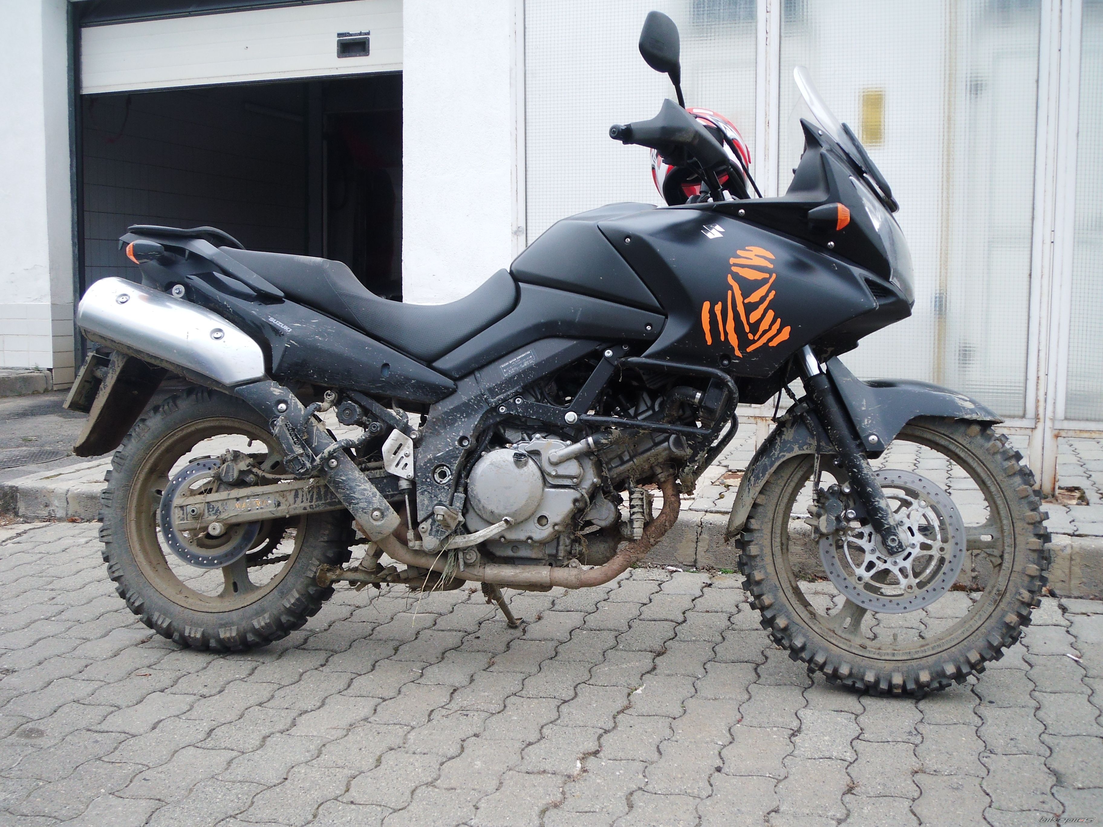 2006 SUZUKI DL 650 | Picture 2231235 motorcycle photo