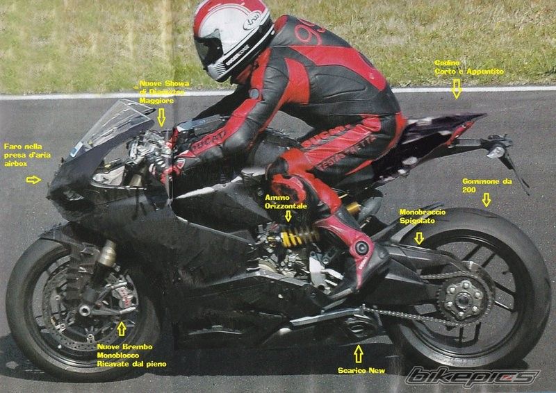 2008 DUCATI UNKNOWEN | Picture 2231709 motorcycle photo