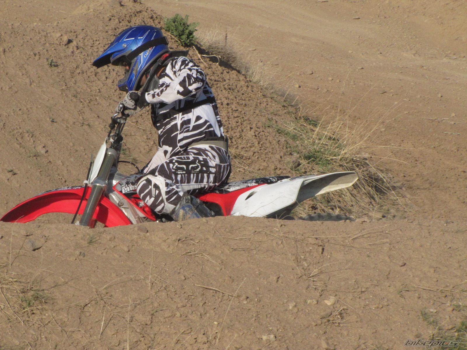 2009 HONDA CRF 450 | Picture 2231815 motorcycle photo