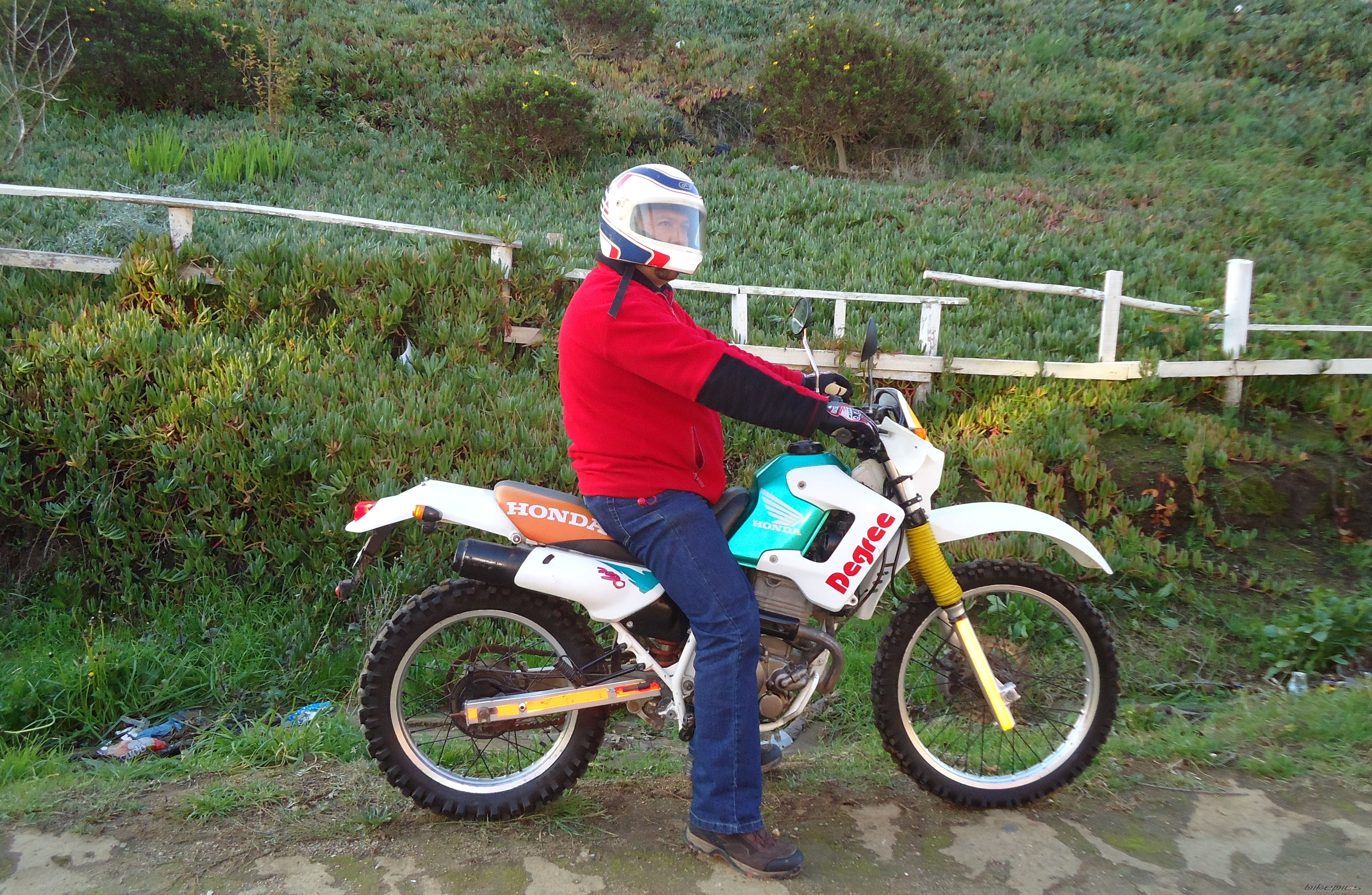 1993 HONDA XL 250 DEGREE | Picture 2233127 motorcycle photo