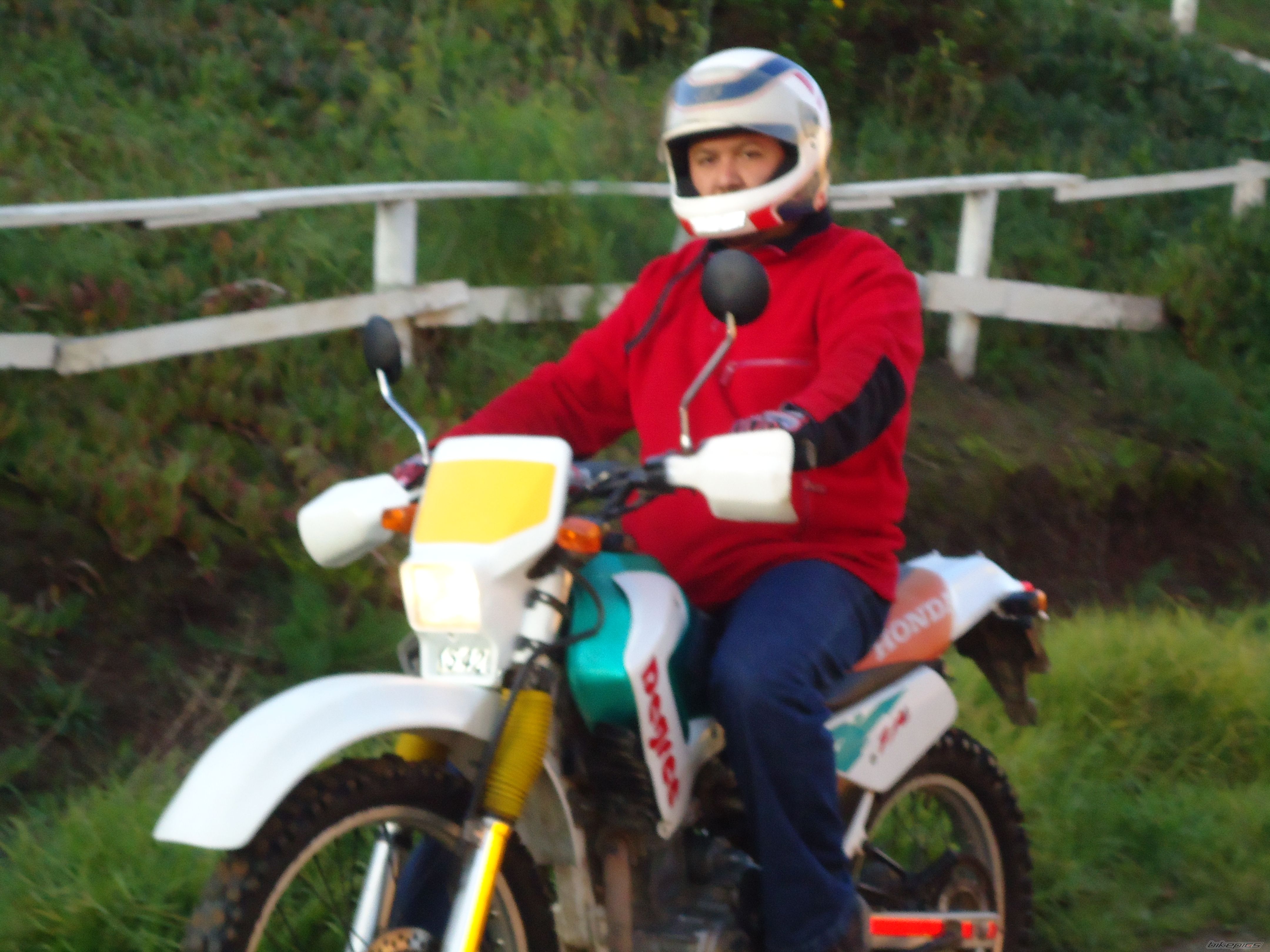 1993 HONDA XL 250 DEGREE | Picture 2233137 motorcycle photo