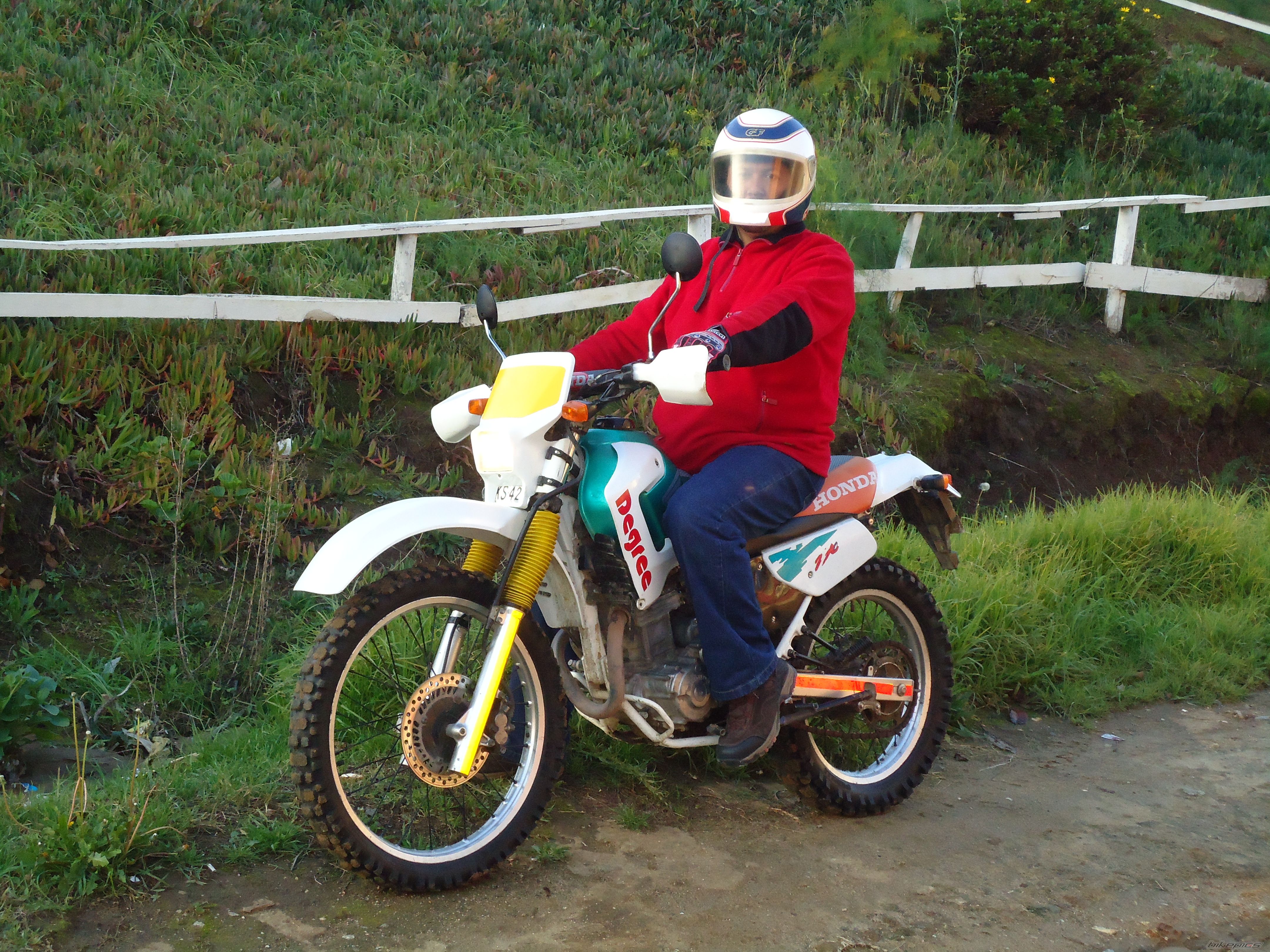 1993 HONDA XL 250 DEGREE | Picture 2233138 motorcycle photo