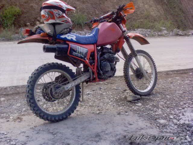 1984 HONDA 1984 | Picture 2234330 motorcycle photo