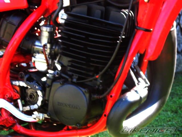 1982 HONDA CR 480 | Picture 2235551 motorcycle photo