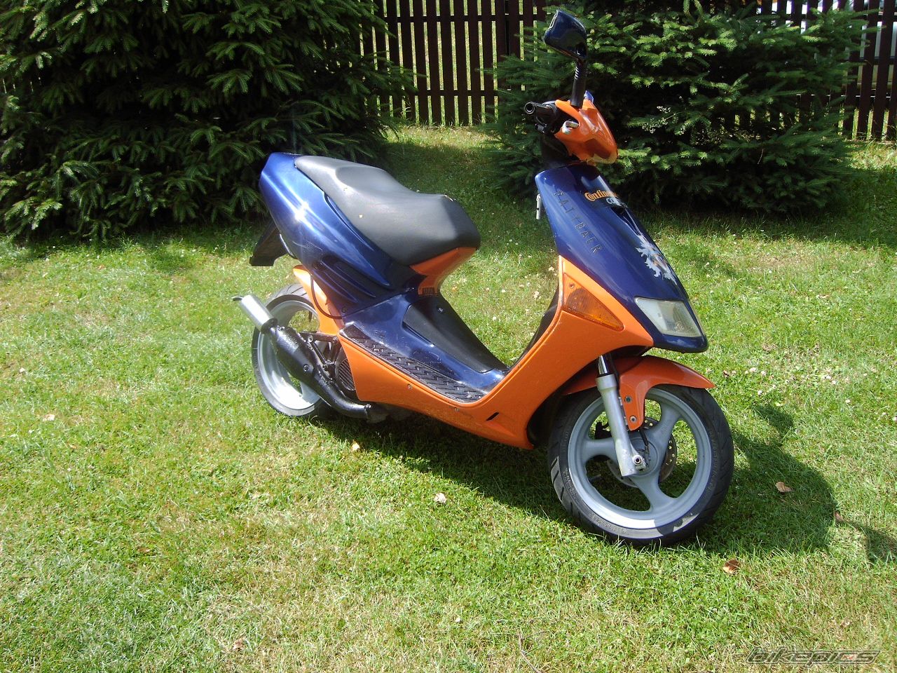 1982 SIMSON S 51 | Picture 2235936 motorcycle photo